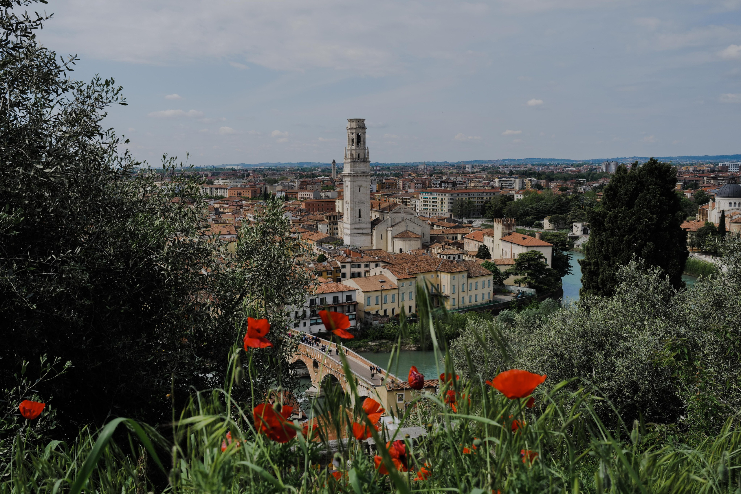 Venice. Фотограф Евгения Добротворская