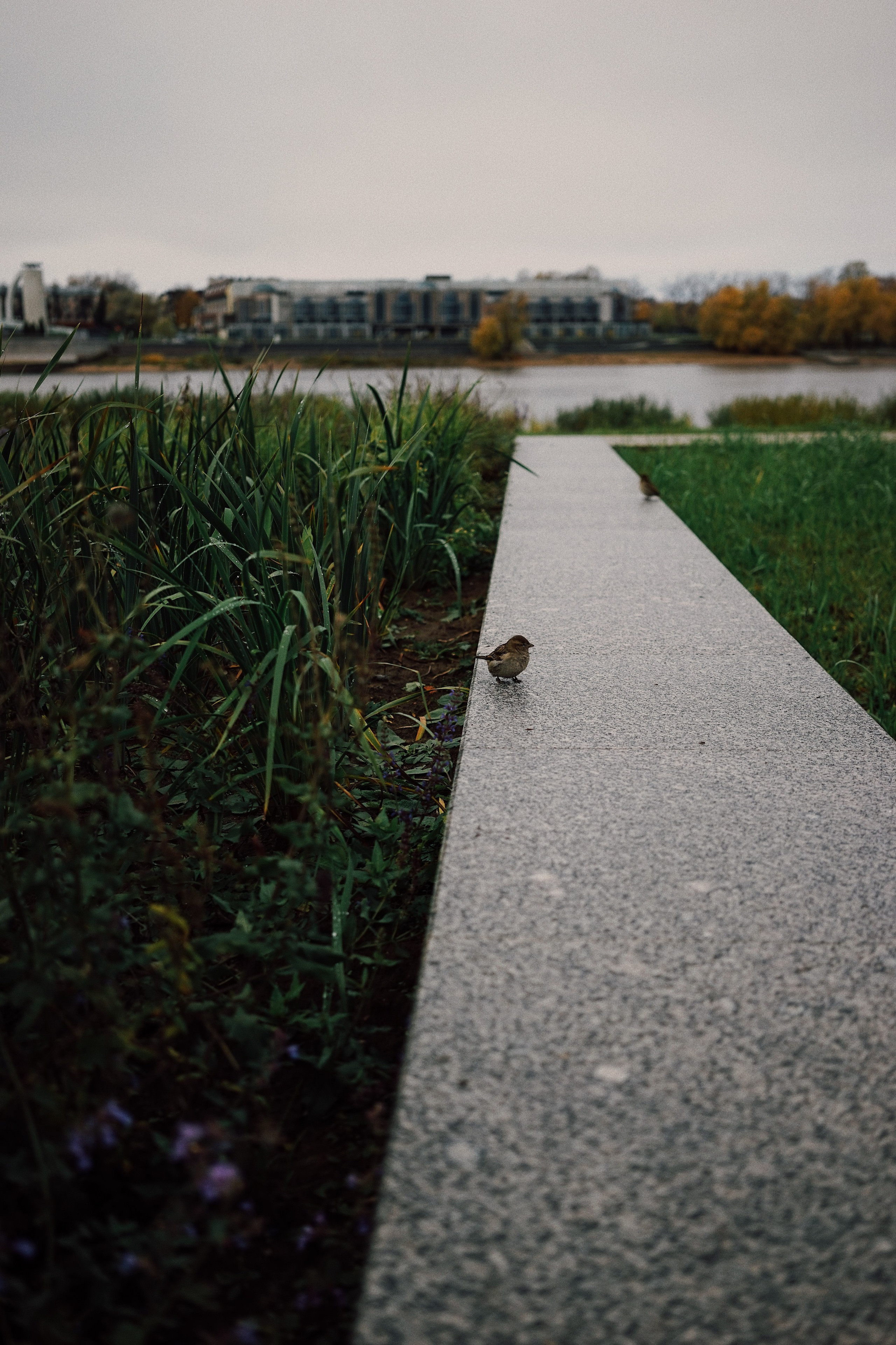 Street. Ксения Копна. Фотограф из Санкт-Петербурга