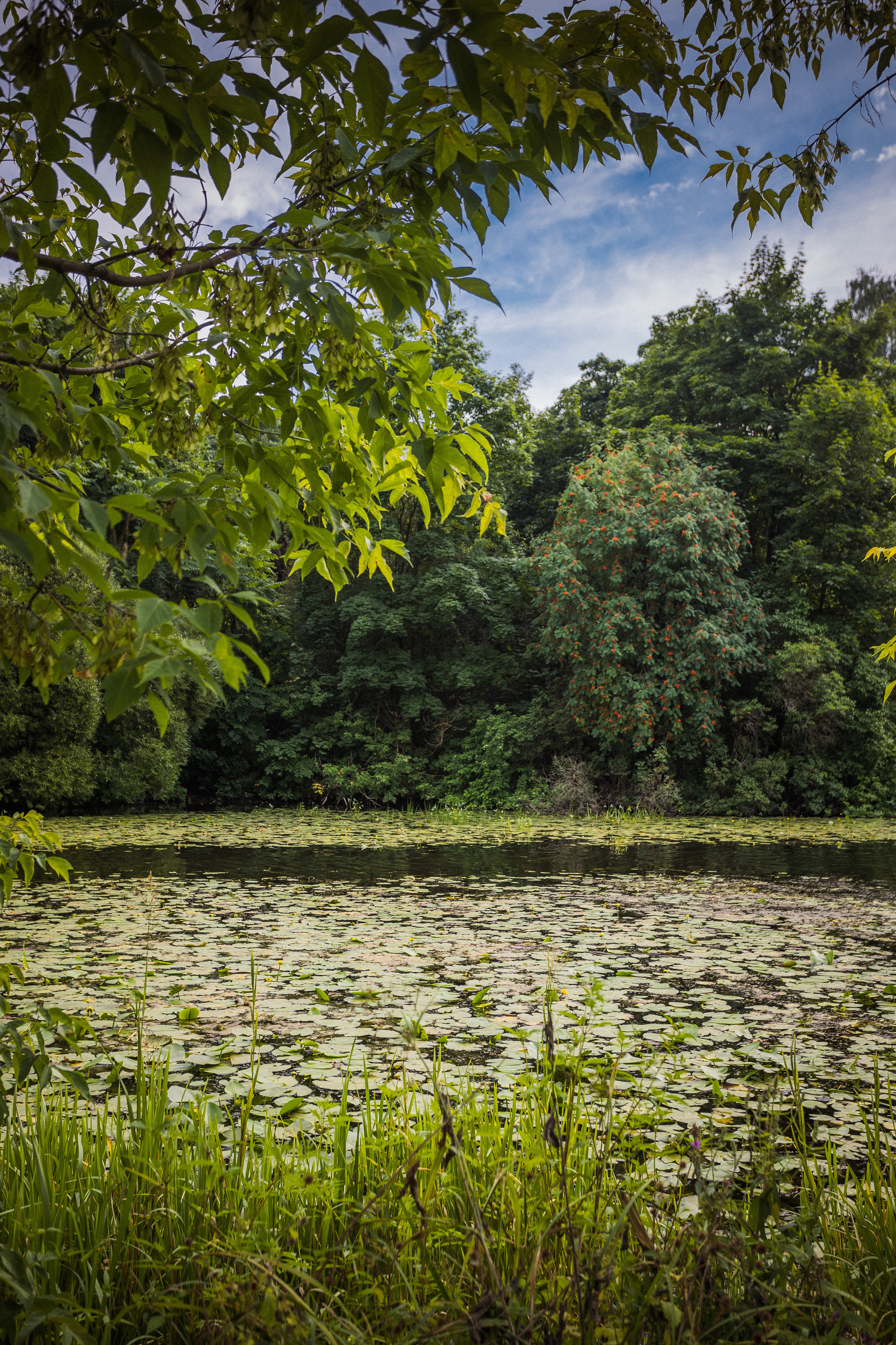 Озеро Круглое в Серебряном бору, Москва