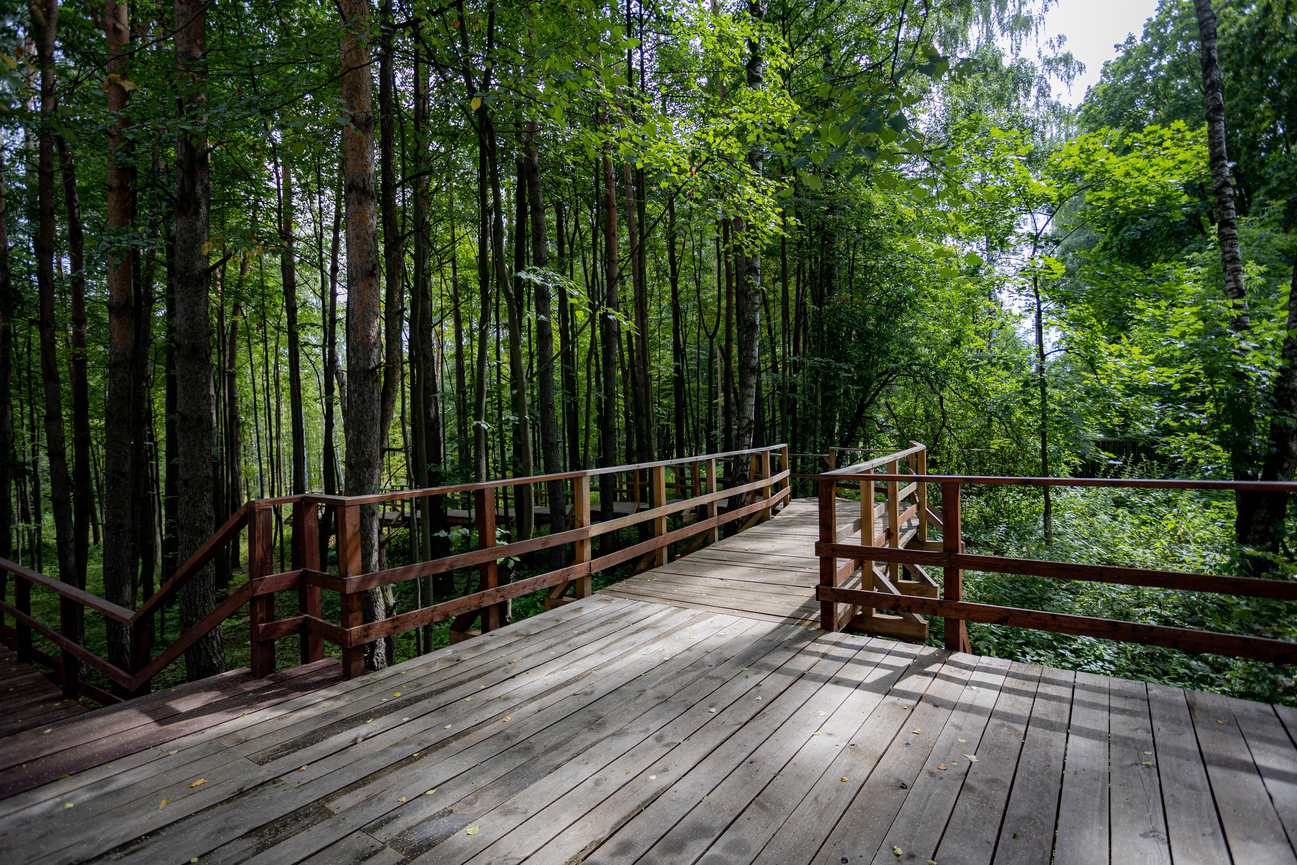 Оленья тропа на Лосином острове