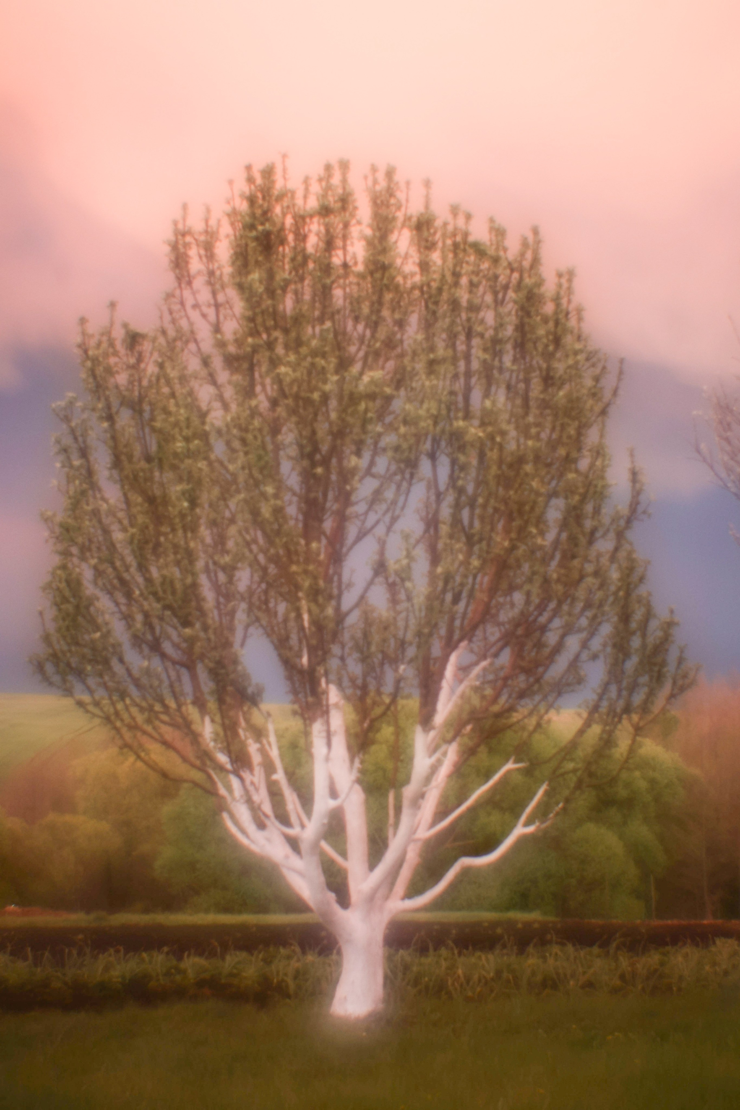 Поэзия повседневности. Семейный фотограф в Москве Марина Аргунова