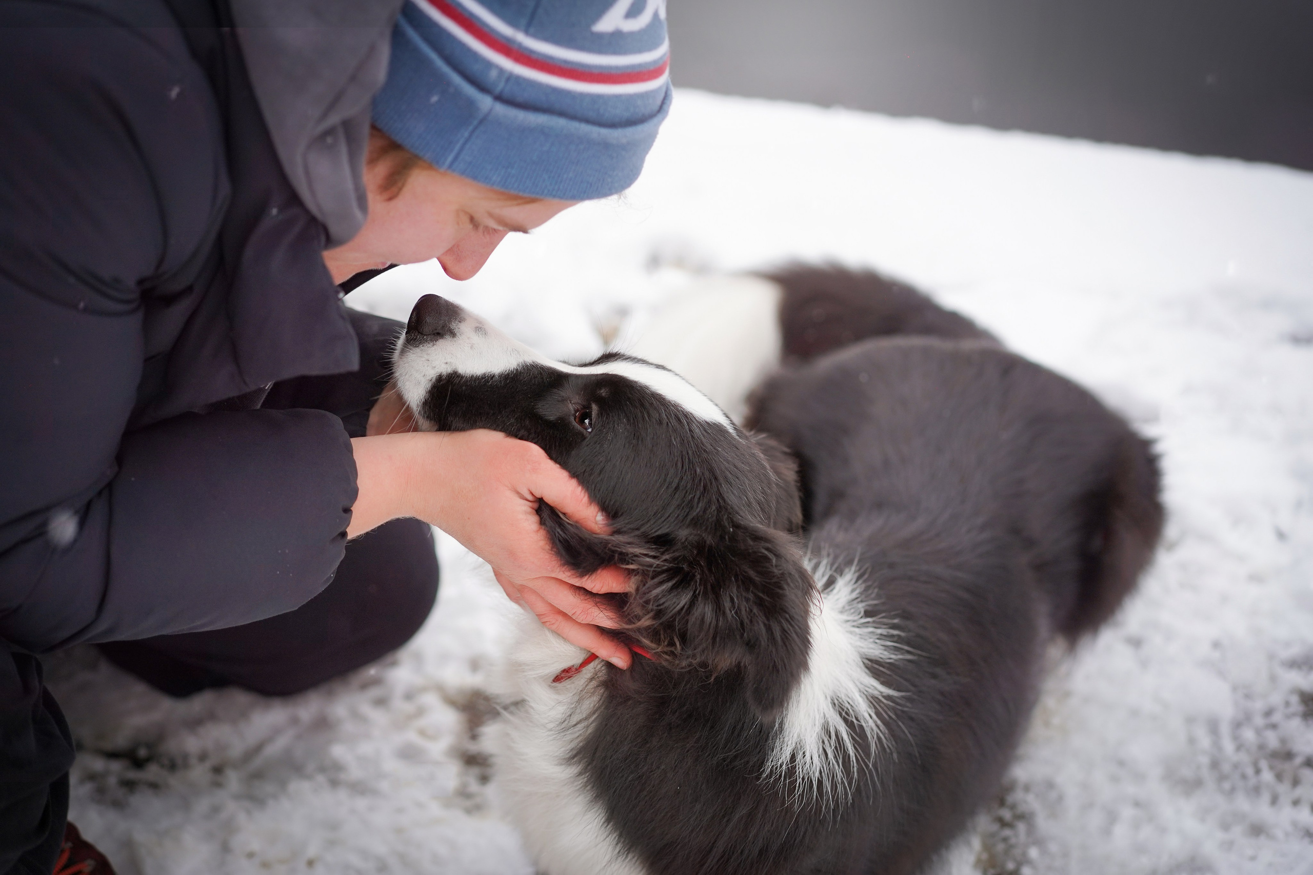 Юлия и Груша. Фотограф-анималист в Санкт-Петербурге Яна Мартынова