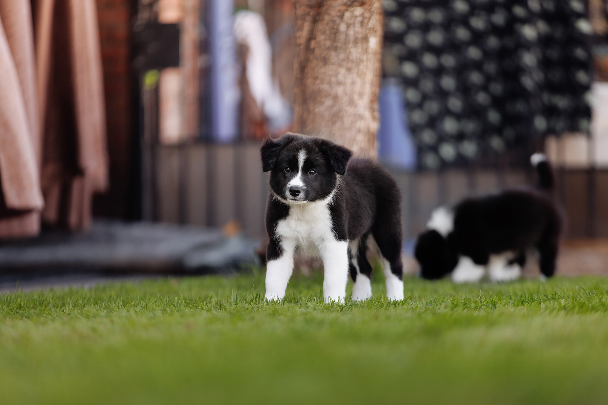 Трава у дома. О нас