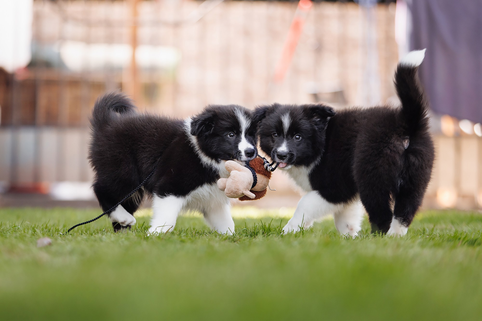 Трава у дома. О нас