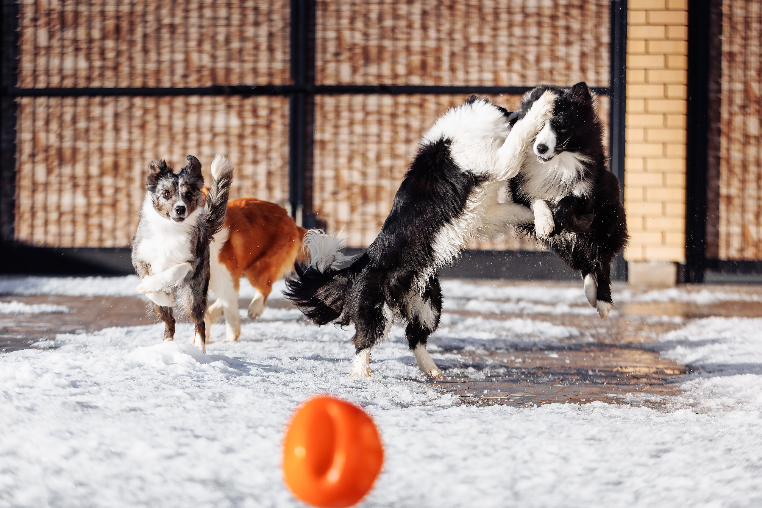 Пока таяло. О нас