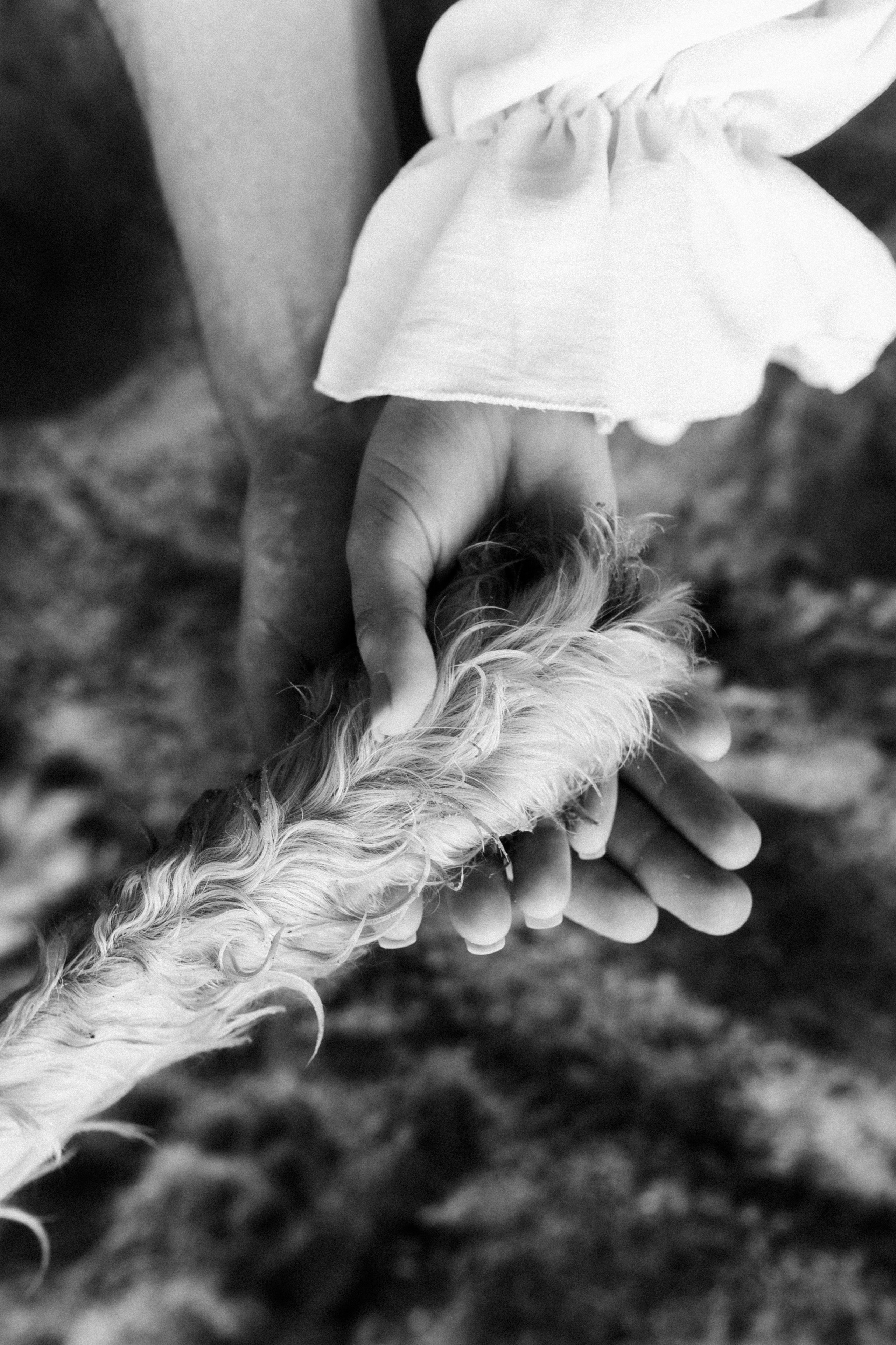 Аня, Влад и Джек. Фотограф в Санкт-Петербурге