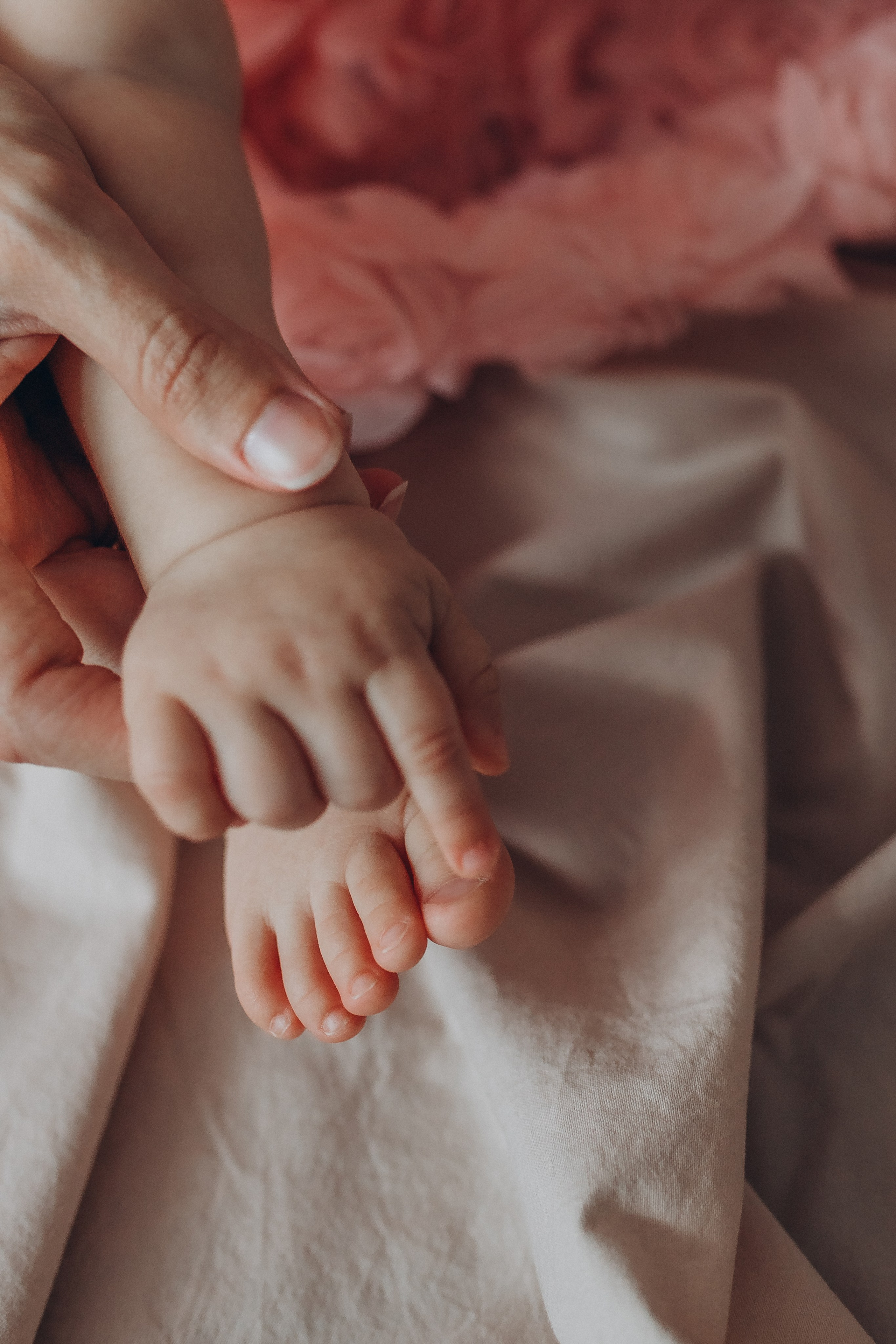 Домашняя. Семейный, детский, женский фотограф в Новосибирске Оля Борисова