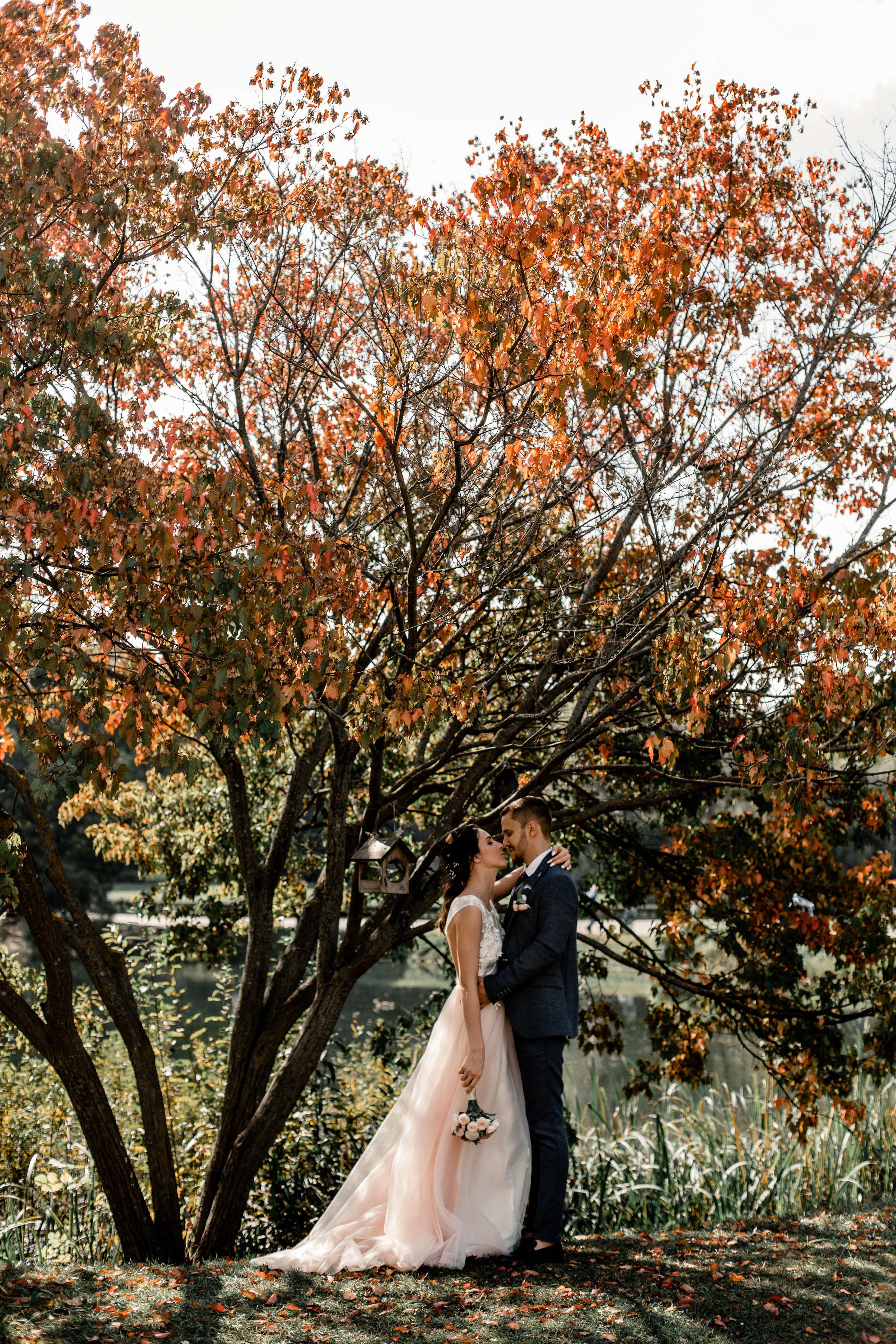 Сергей и Виктория. Свадебный фотограф Александр Абрамов Москва / Зеленоград