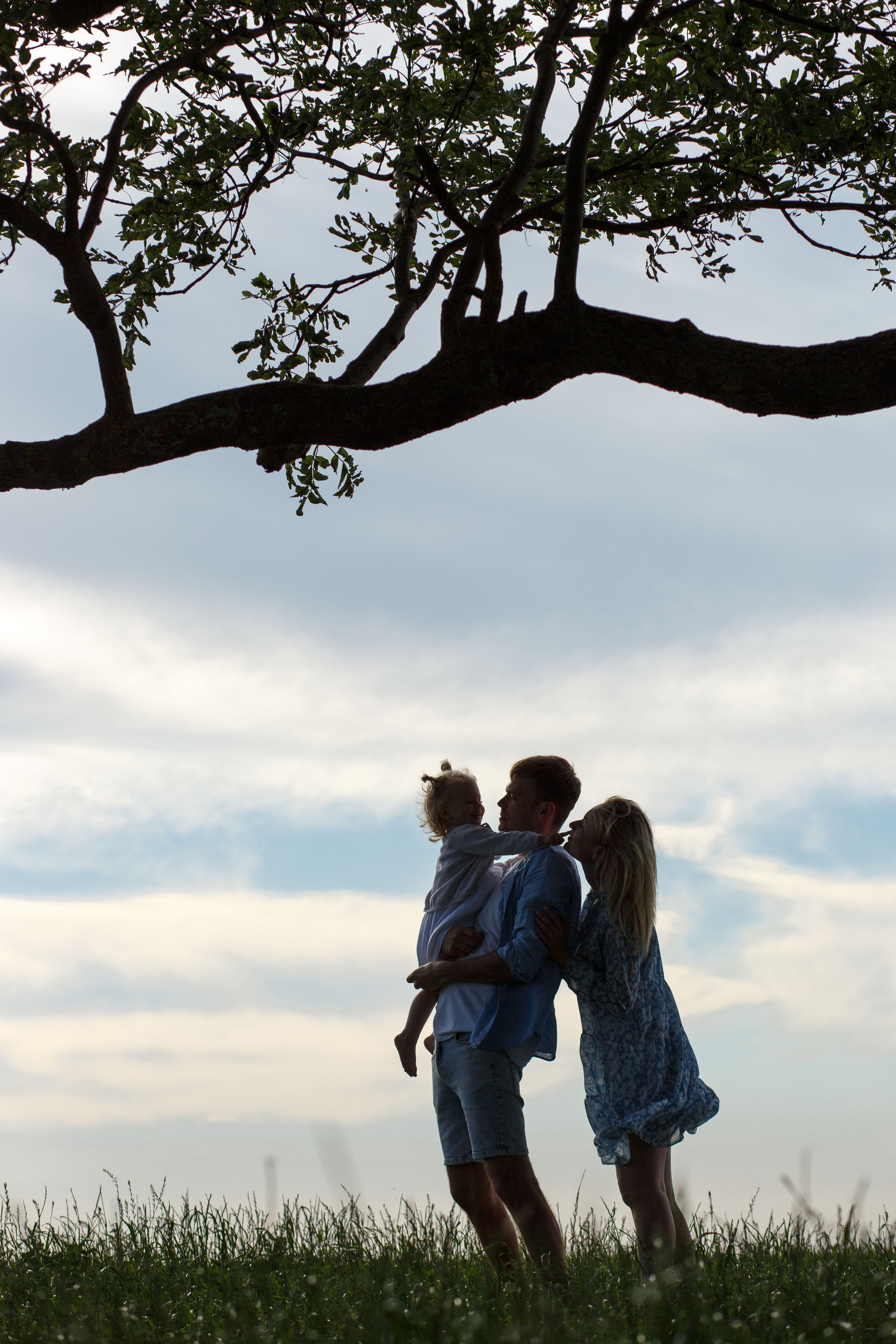 Истории. Главная