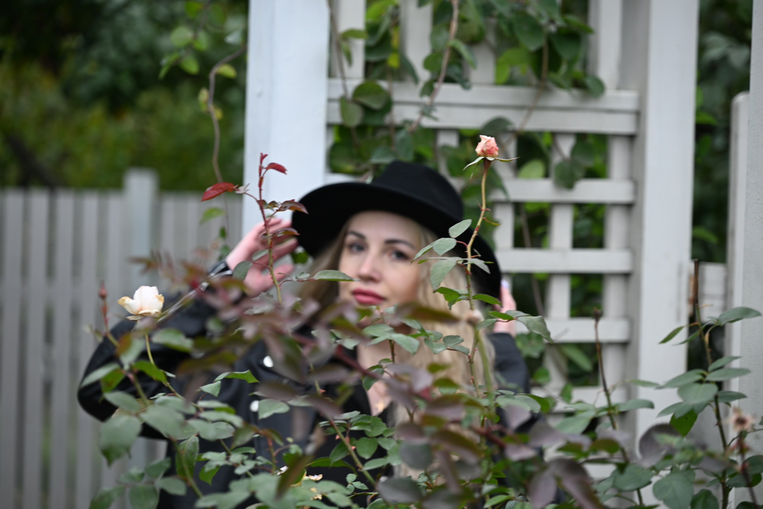 РЕГИНА ОСЕНЬ. Фотограф в Санкт-Петербурге Сафронов Николай