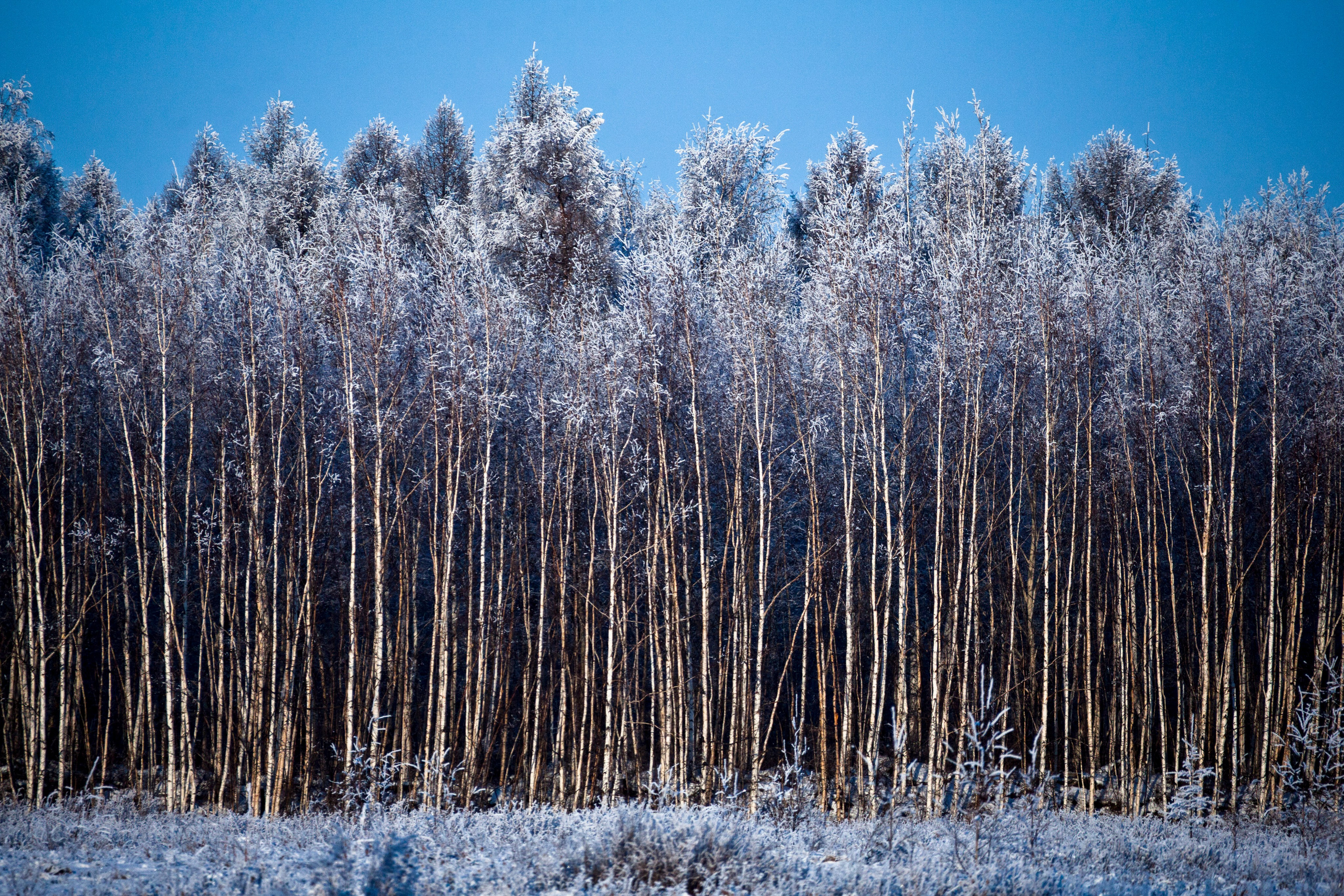 Камчатка vs Гавайи — сравнение уникальных природных миров. Время Камчатки: чтобы найти свой путь, нужно скорость умножить на время