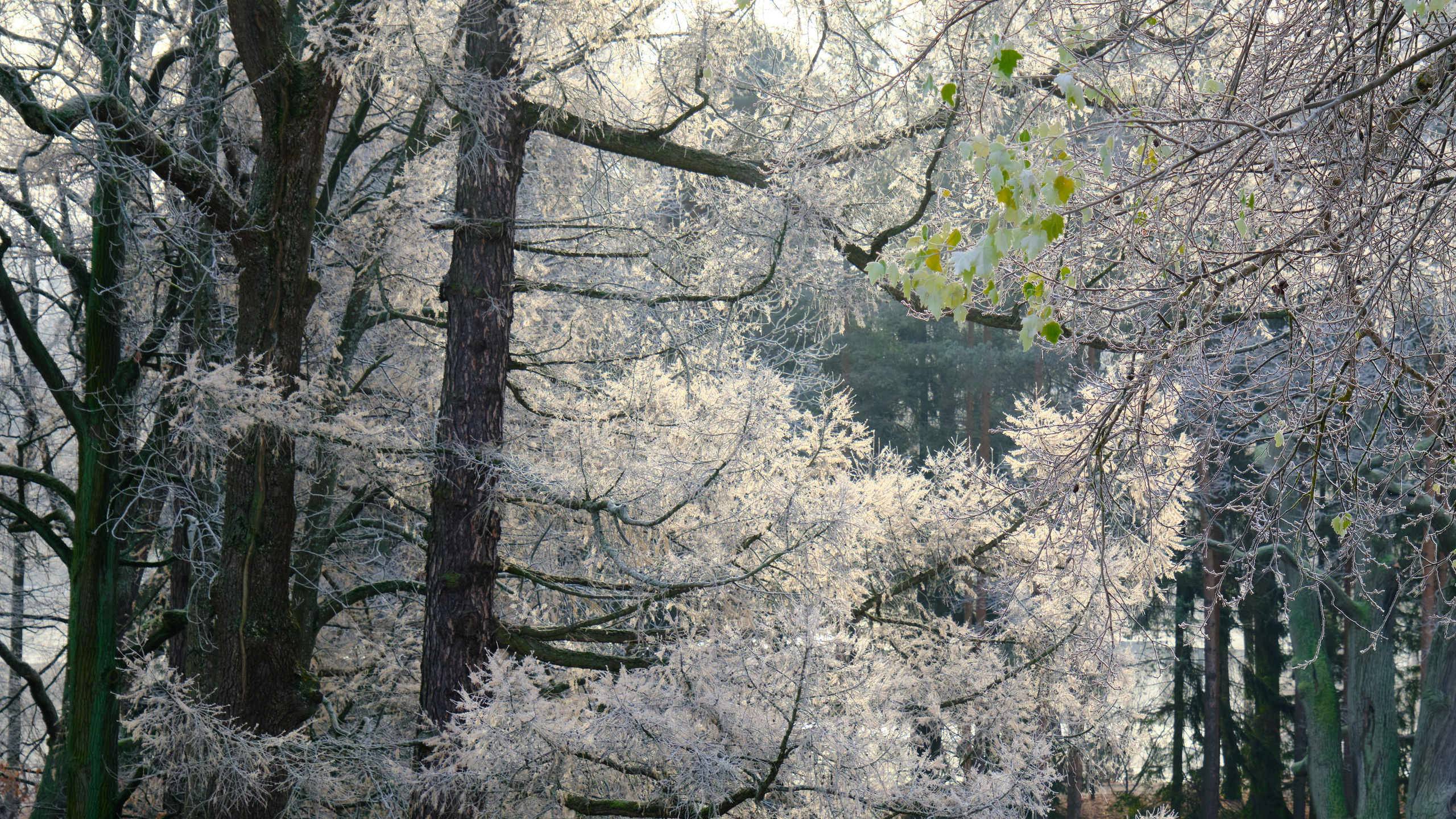 Времена года. Пейзажи Крайнего Севера. Баренцево море, Рыбачий, Средний, Немецкий