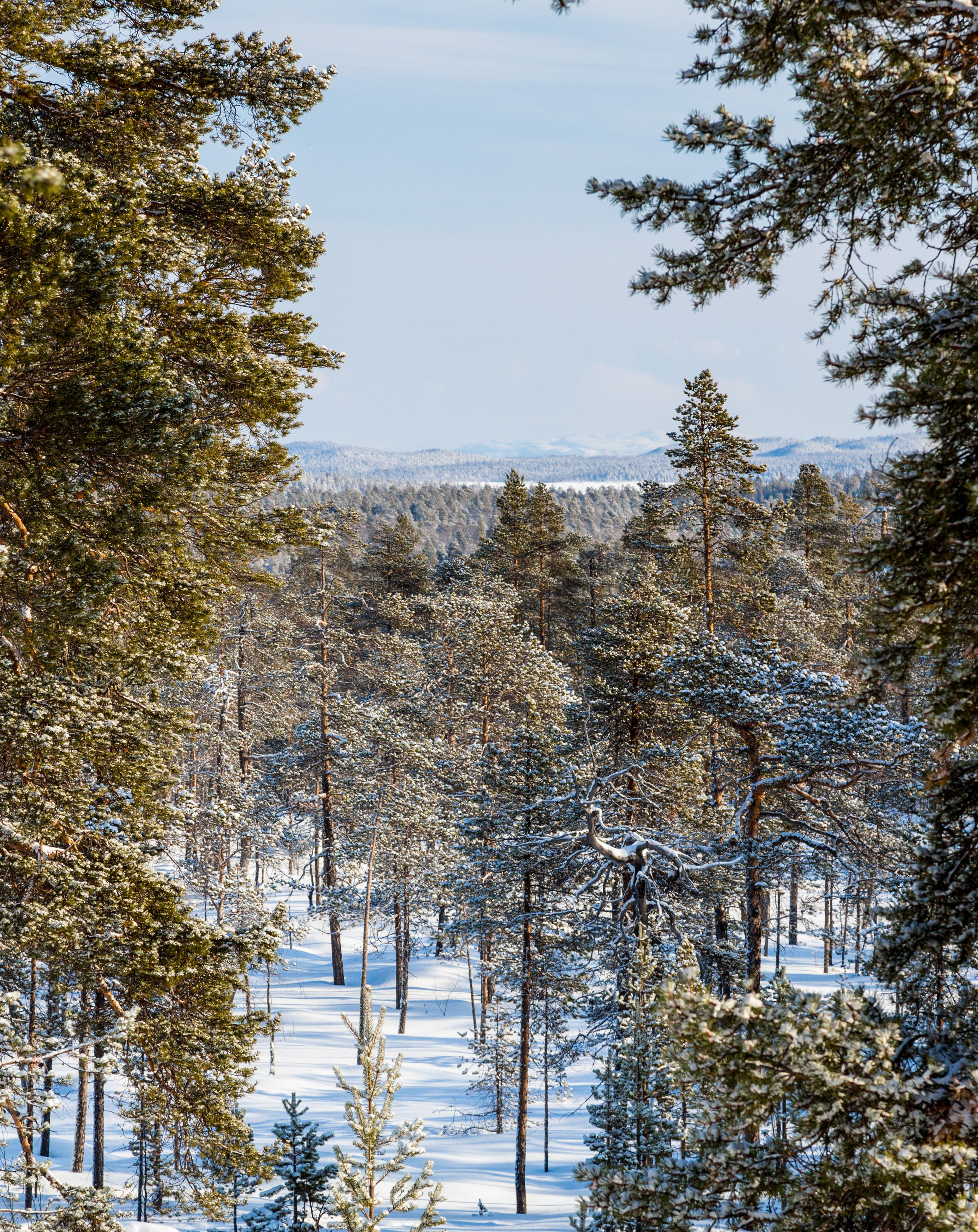 Зима. Пейзажи Крайнего Севера. Баренцево море, Рыбачий, Средний, Немецкий