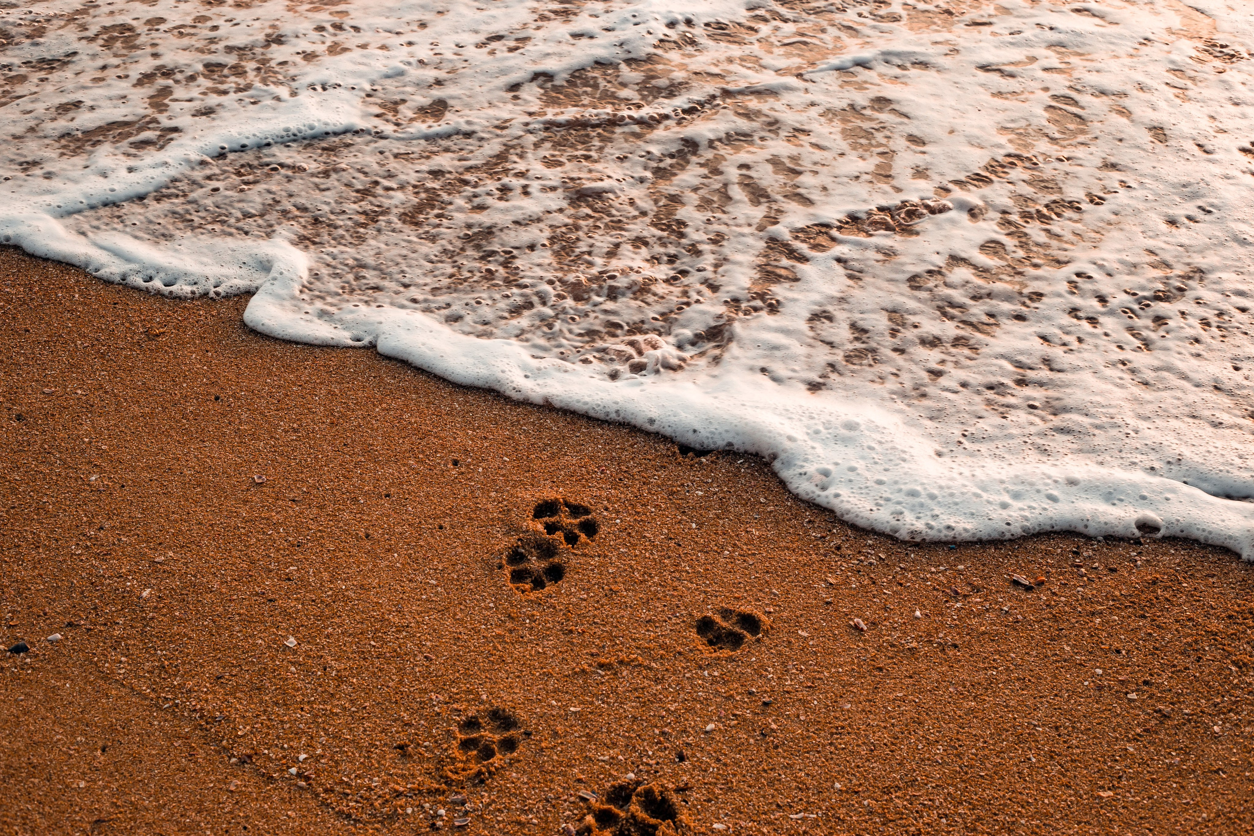 Sri Lanka. Art Photographer