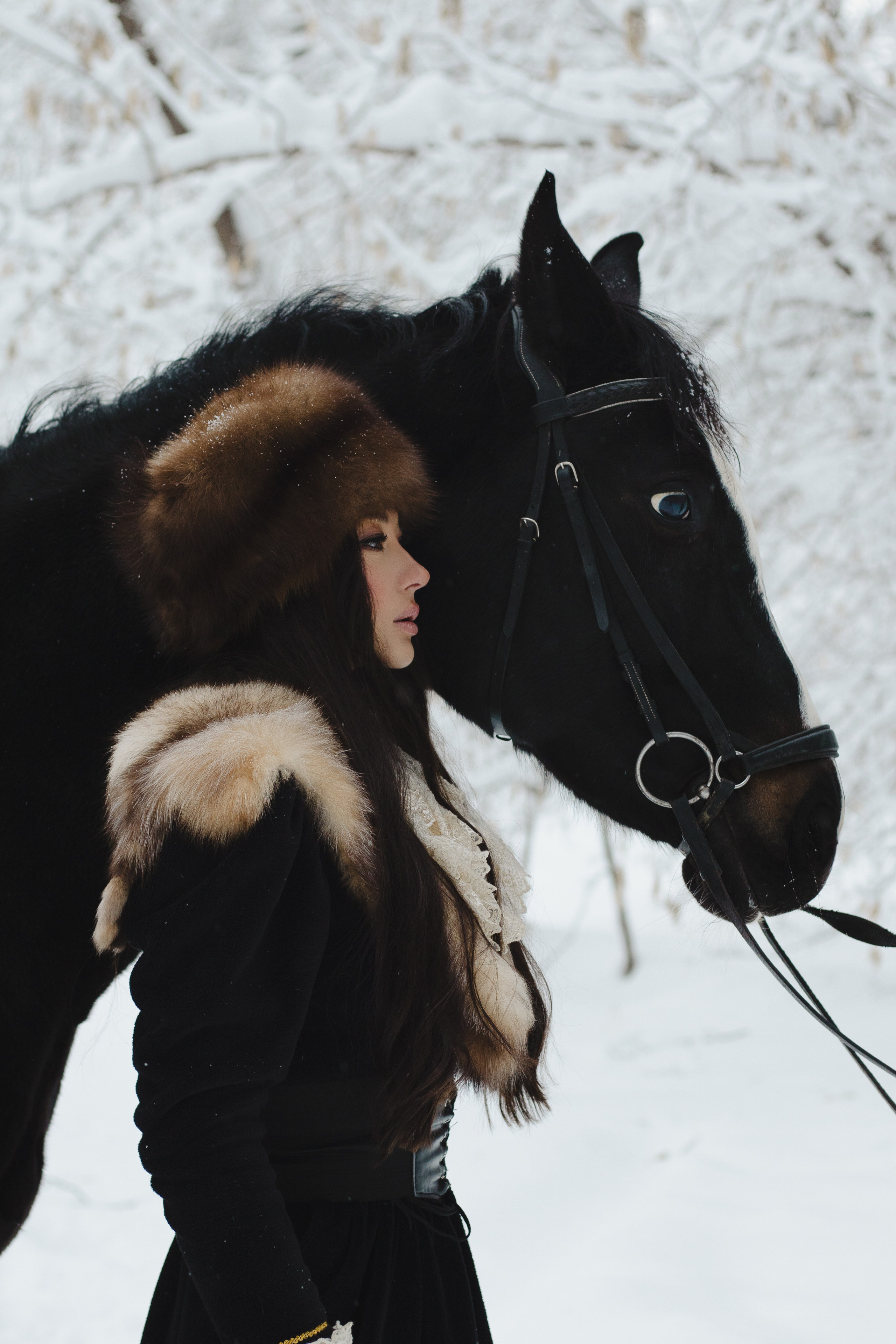 Новогодняя фотосессия с лошадью в Новосибирске. Анастасия Головерова фотограф в Новосибирске