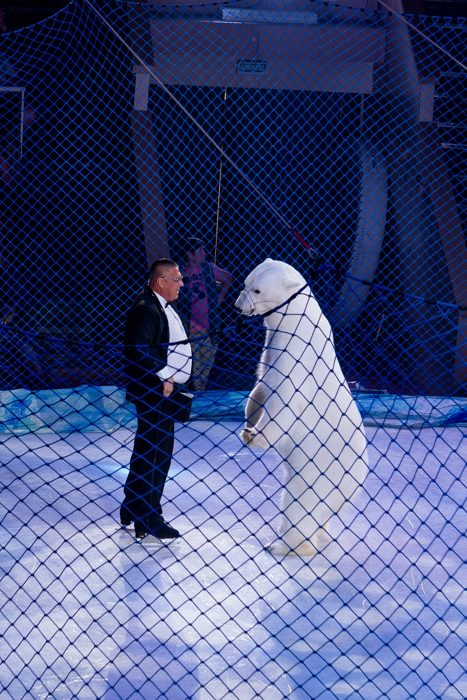 Цирк на льду «Айсберг» в Луганске. Фотограф в РФ и ЛНР Юлия Федосеева