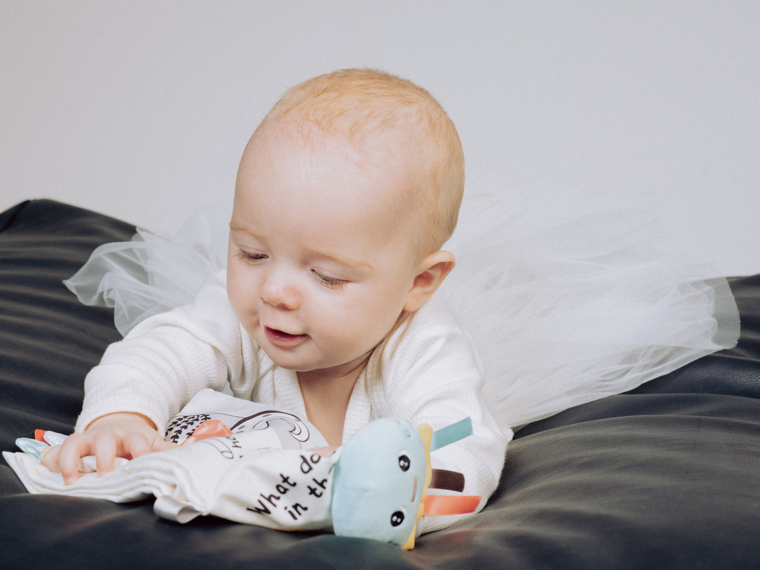 Их уже пятерооооо. Фотограф в Москве Шалышко Ангелина