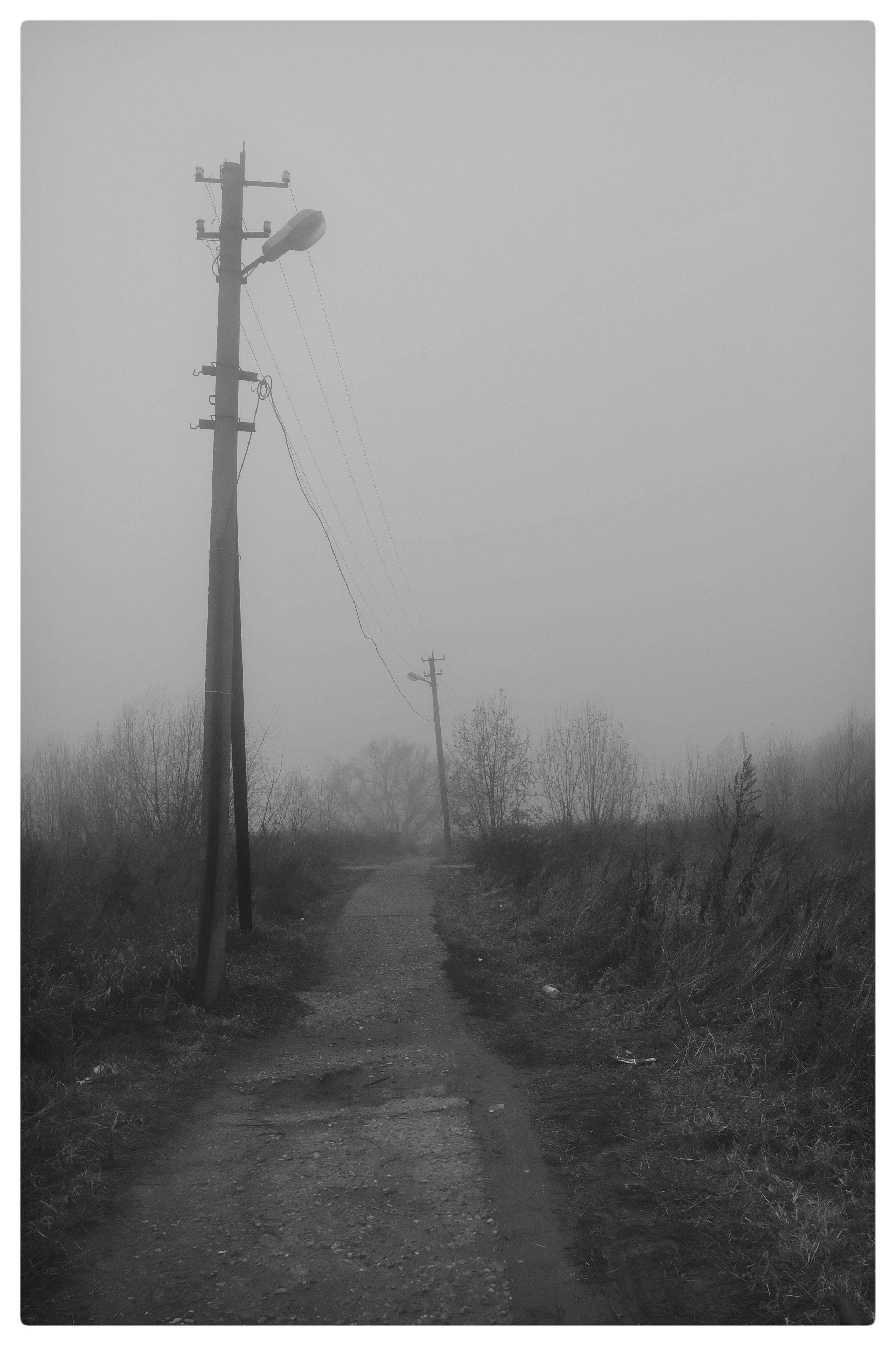 Сквозь туман. Фотограф, дизайнер Малыш Виталий. Москва