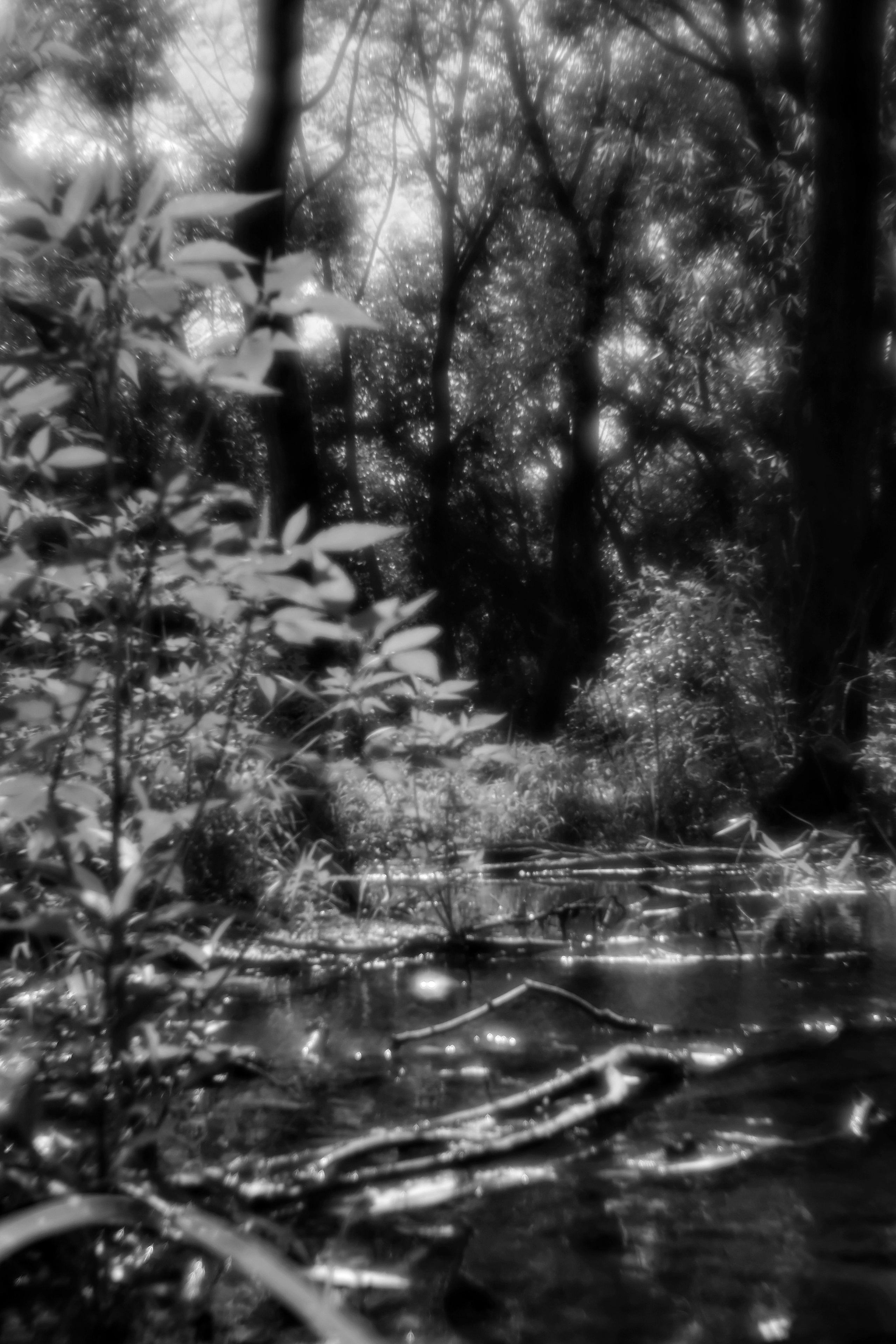 Борисовка-Сукромка. Фотограф, дизайнер Малыш Виталий. Москва