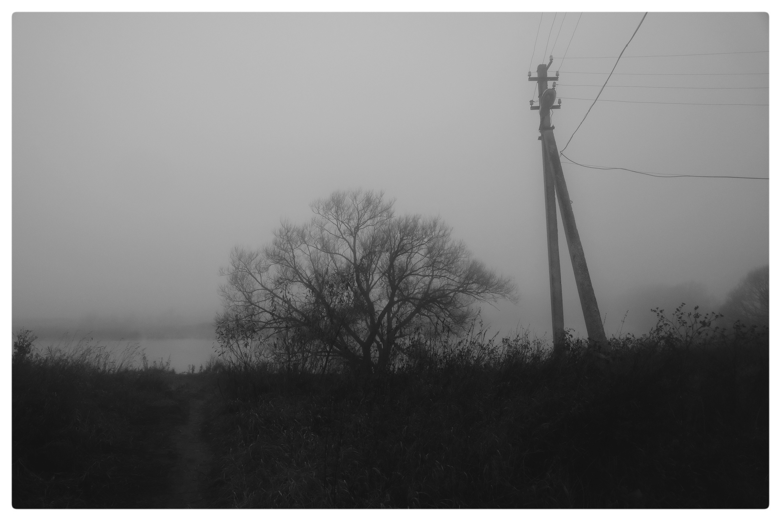 Сквозь туман. Фотограф, дизайнер Малыш Виталий. Москва