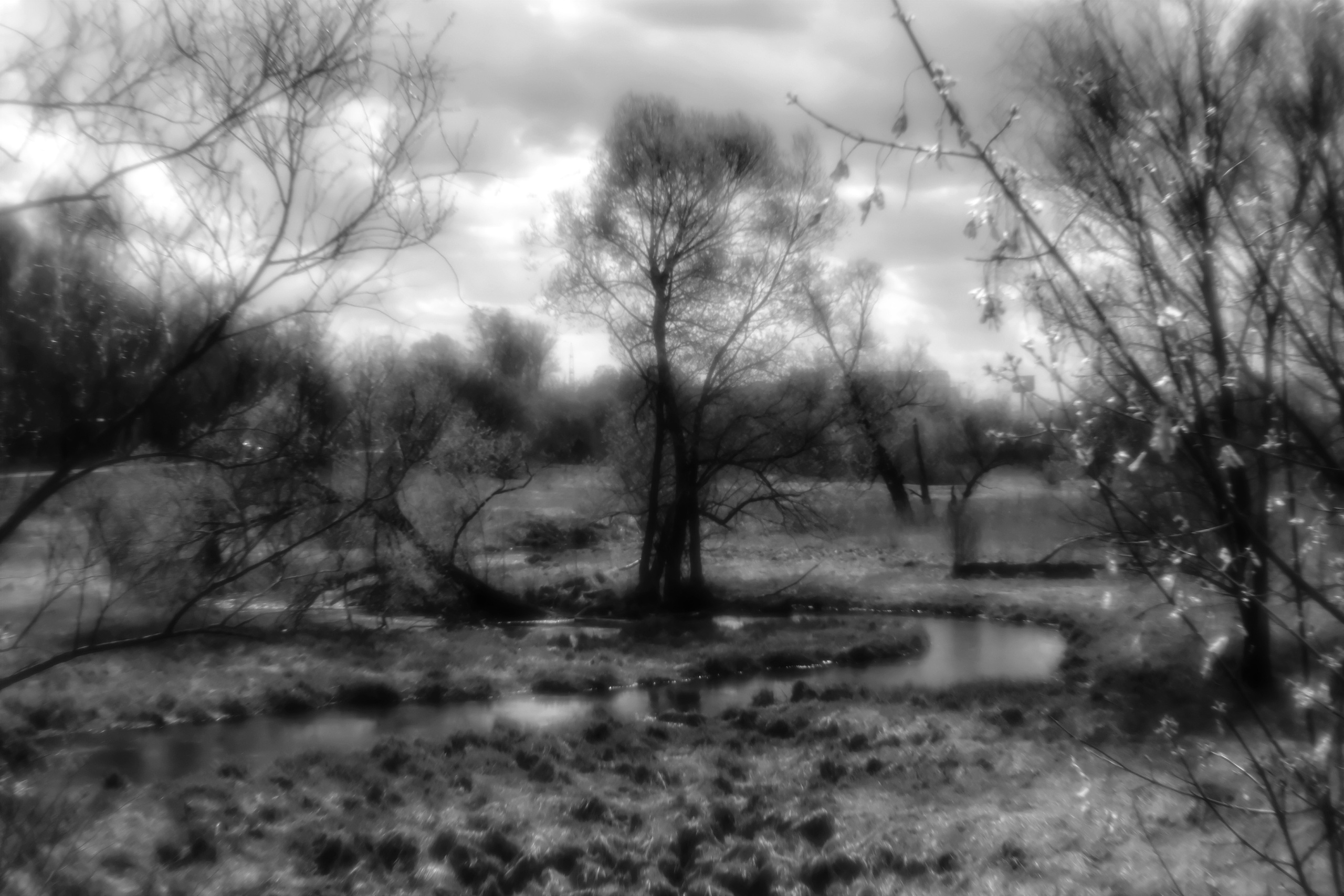 Борисовка-Сукромка. Фотограф, дизайнер Малыш Виталий. Москва