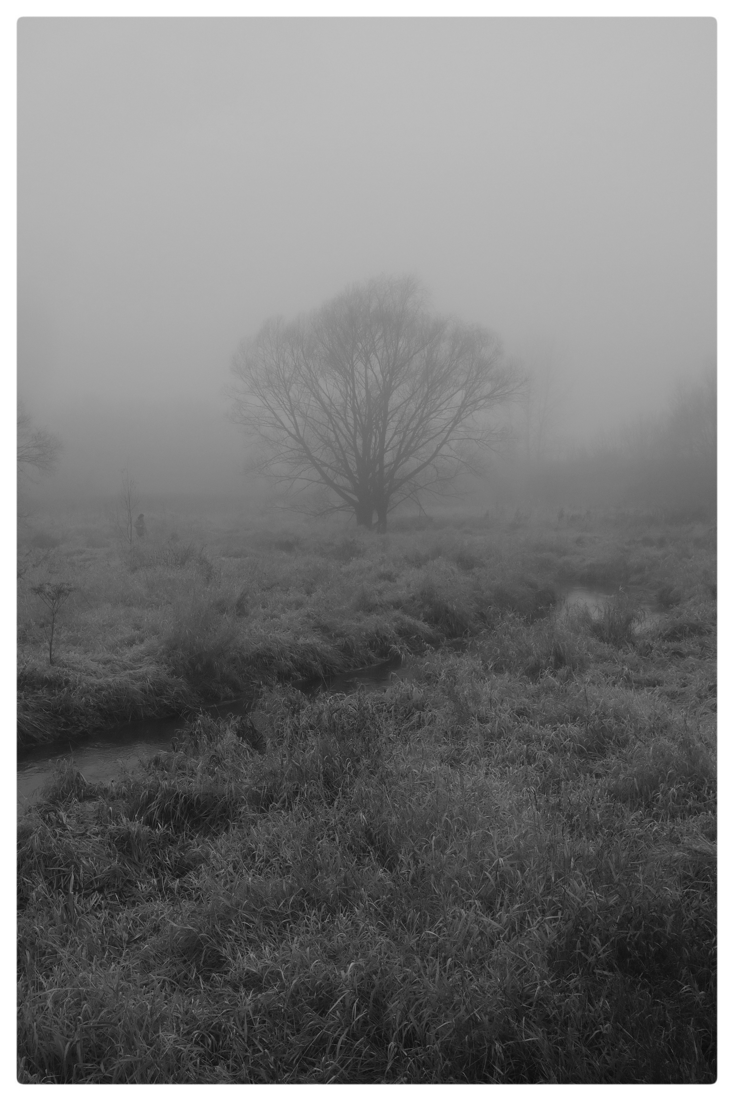 Сквозь туман. Фотограф, дизайнер Малыш Виталий. Москва