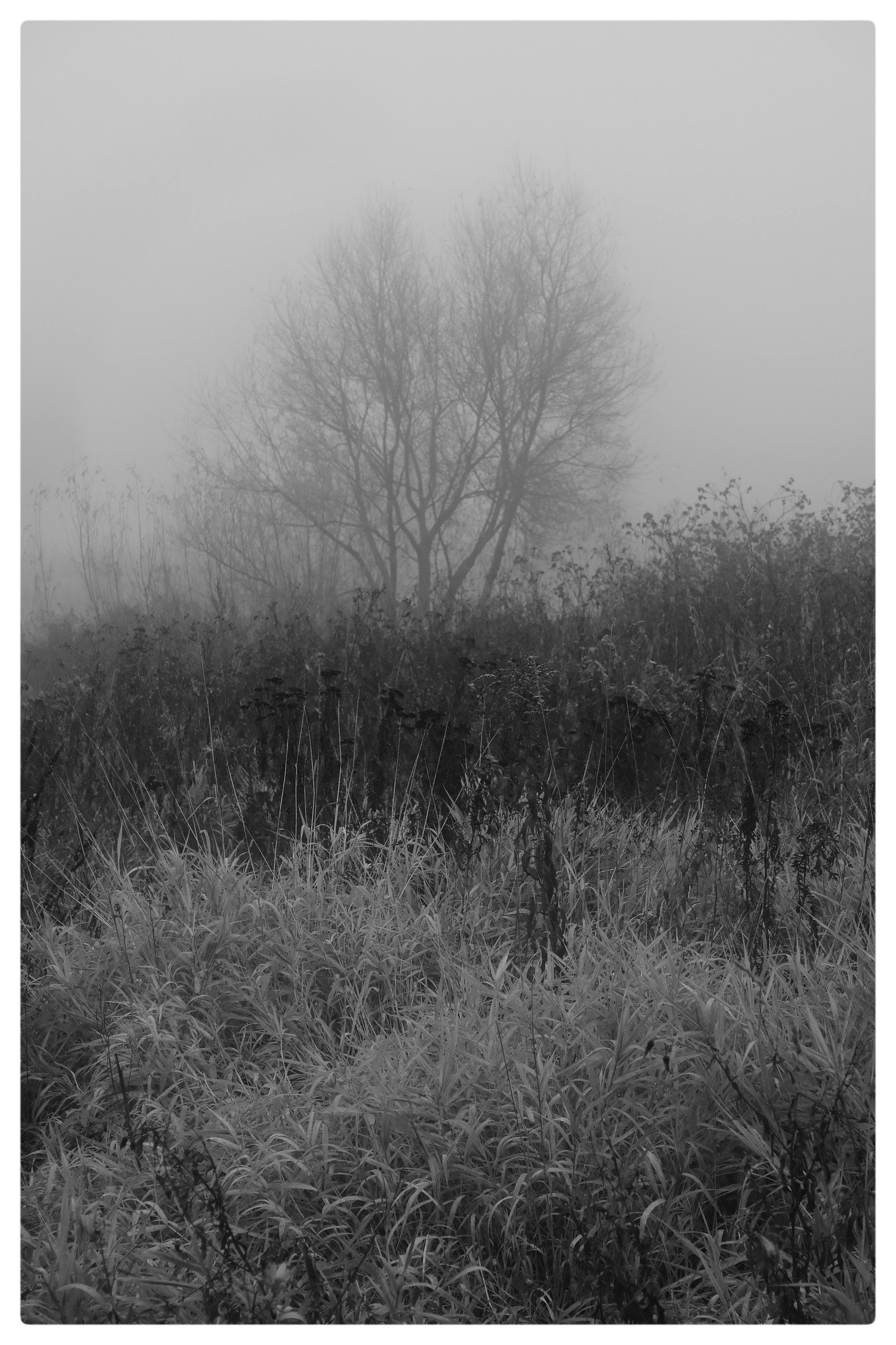 Сквозь туман. Фотограф, дизайнер Малыш Виталий. Москва