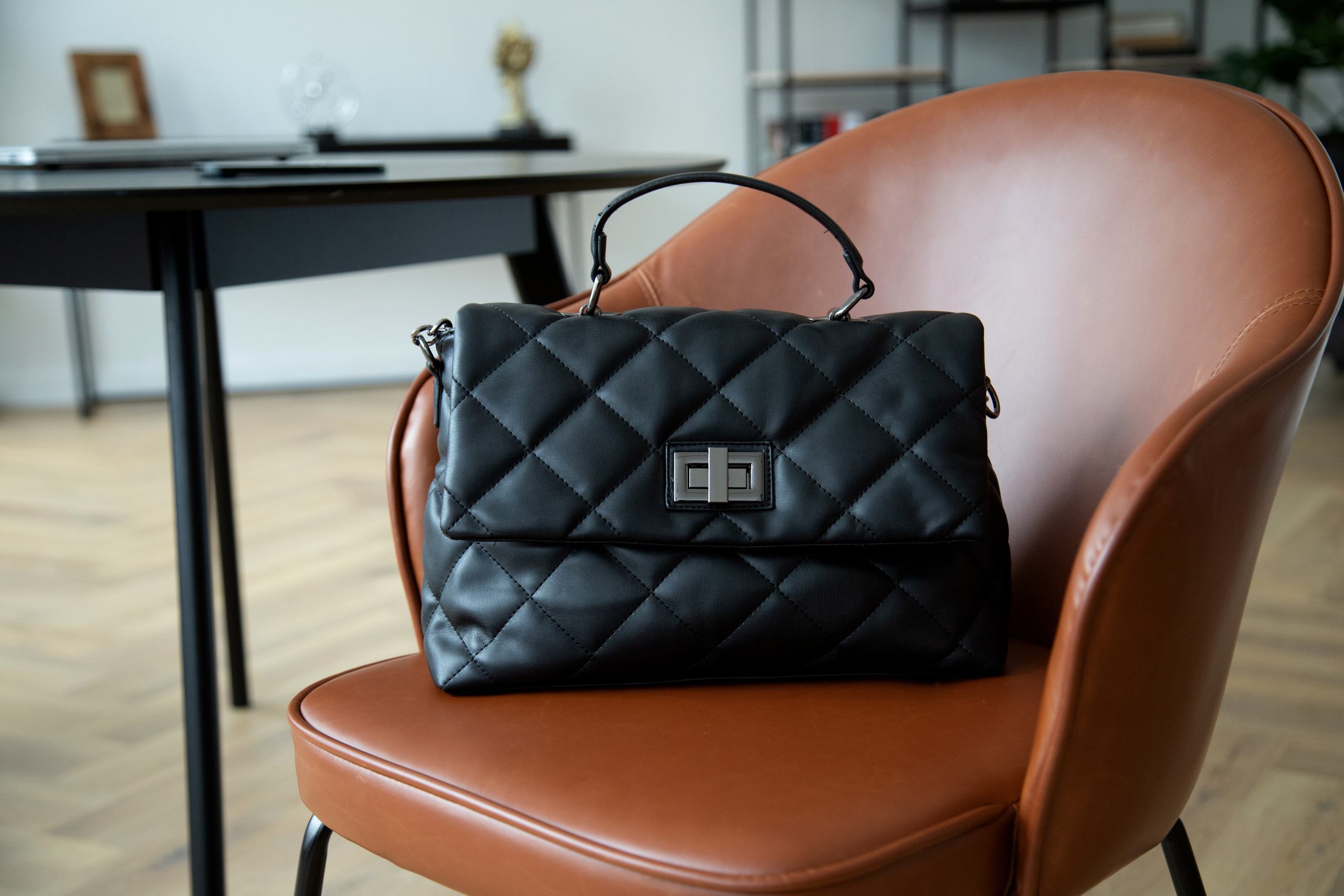 Саламандер 1. Фотограф, дизайнер Малыш Виталий. Москва