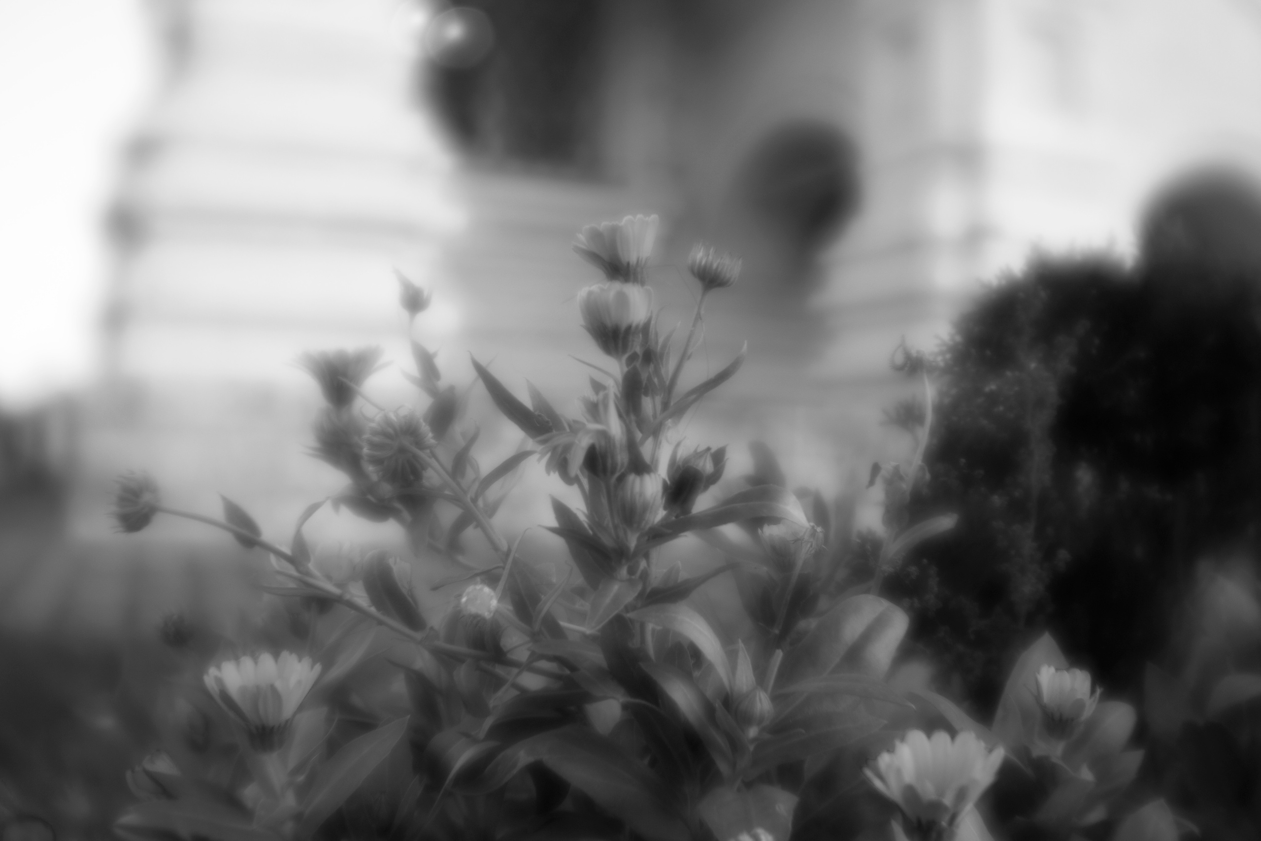 Фотограф, дизайнер Малыш Виталий. Москва