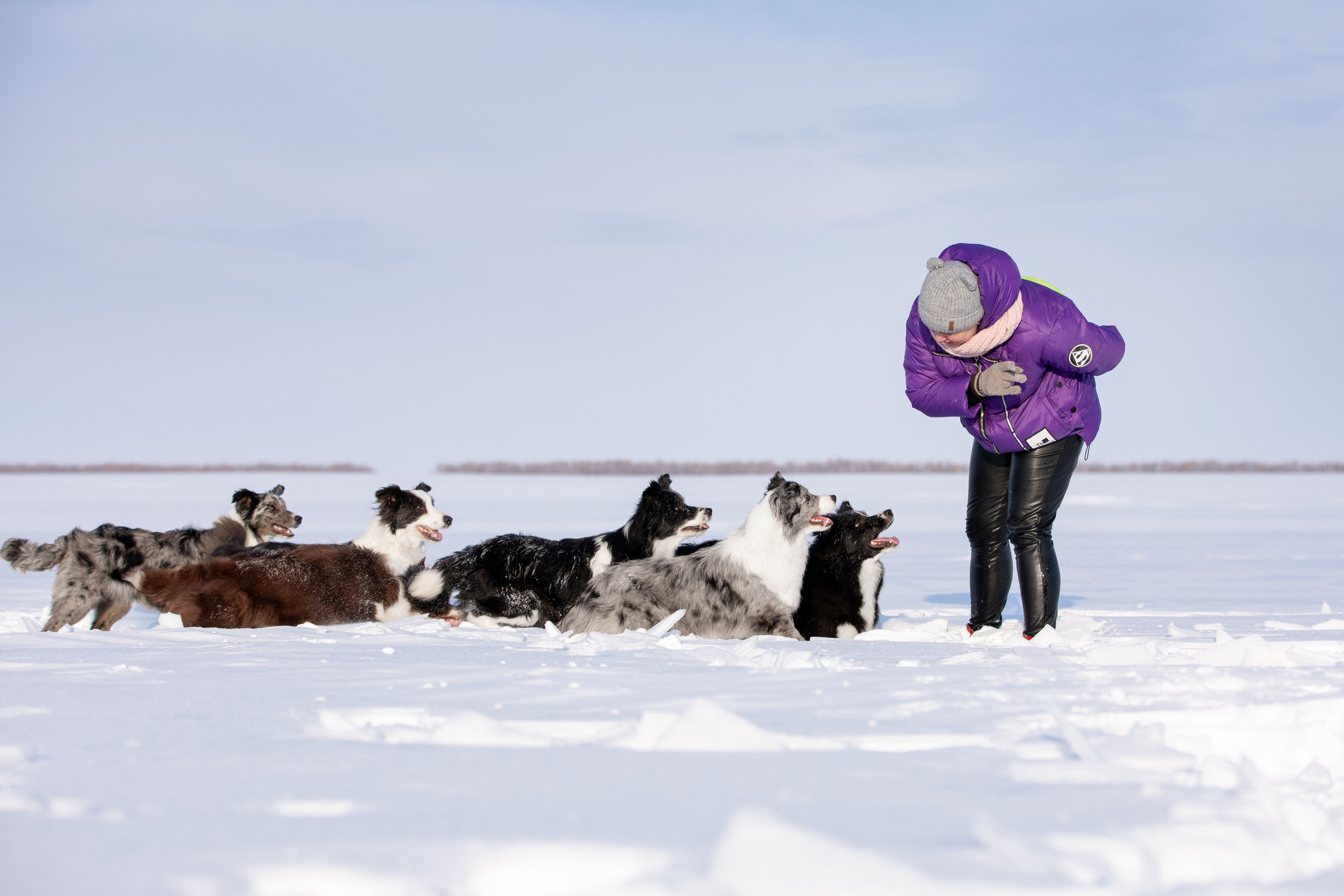 Мороз и солнце. О нас