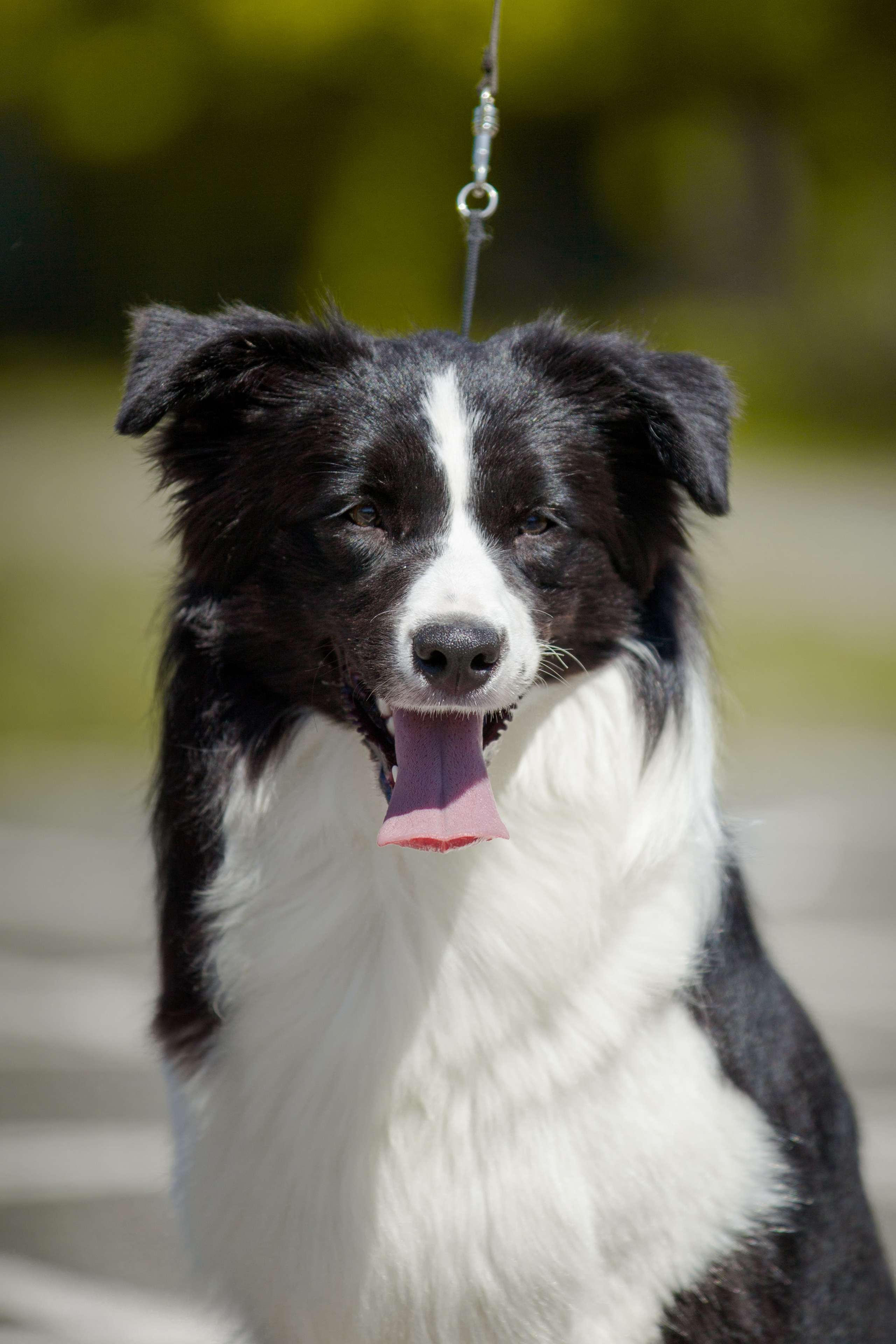 Зеленое в Оренбурге 19. О нас