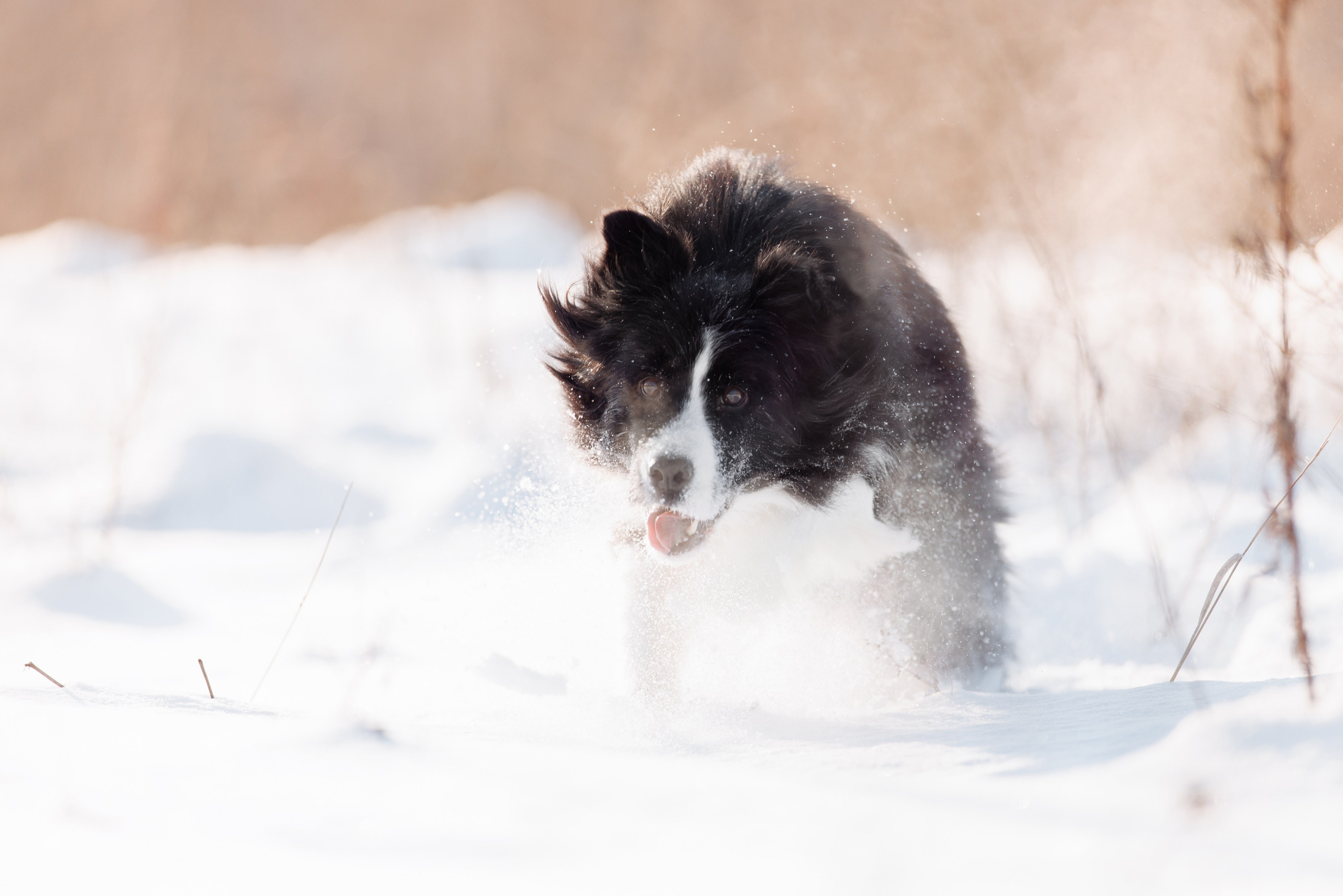 Яркий январь. О нас