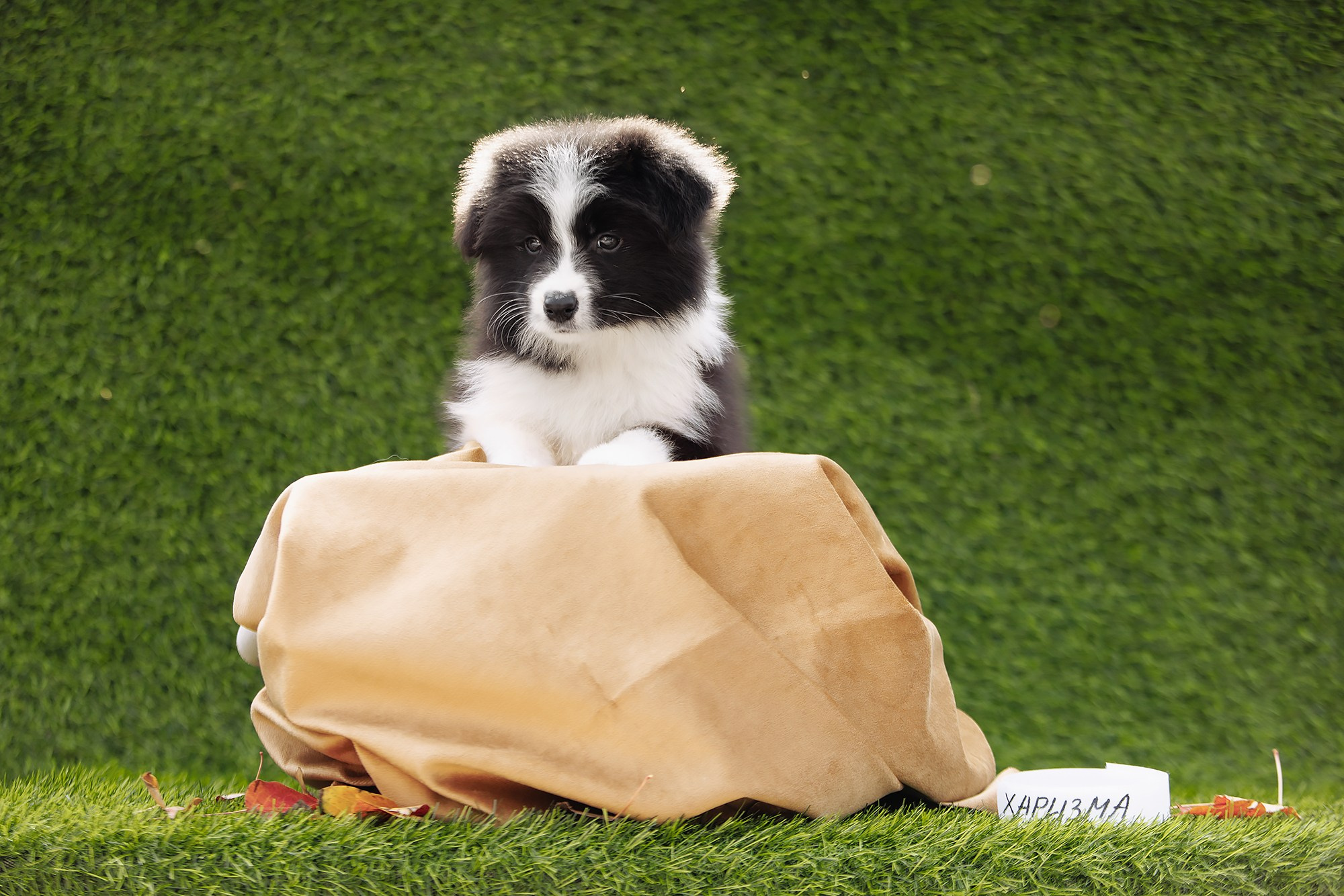 Новый лист. О нас