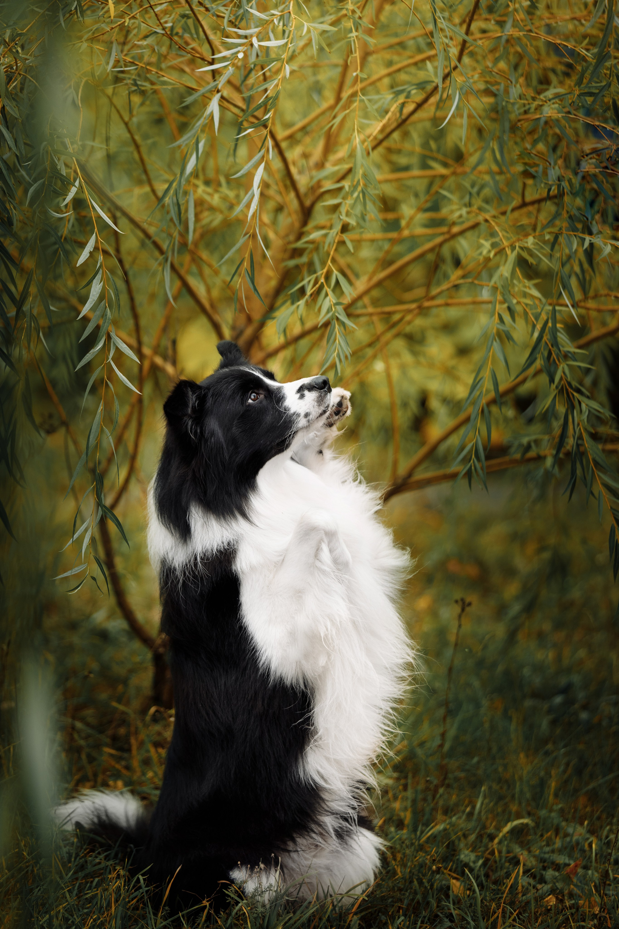 Казань. О нас