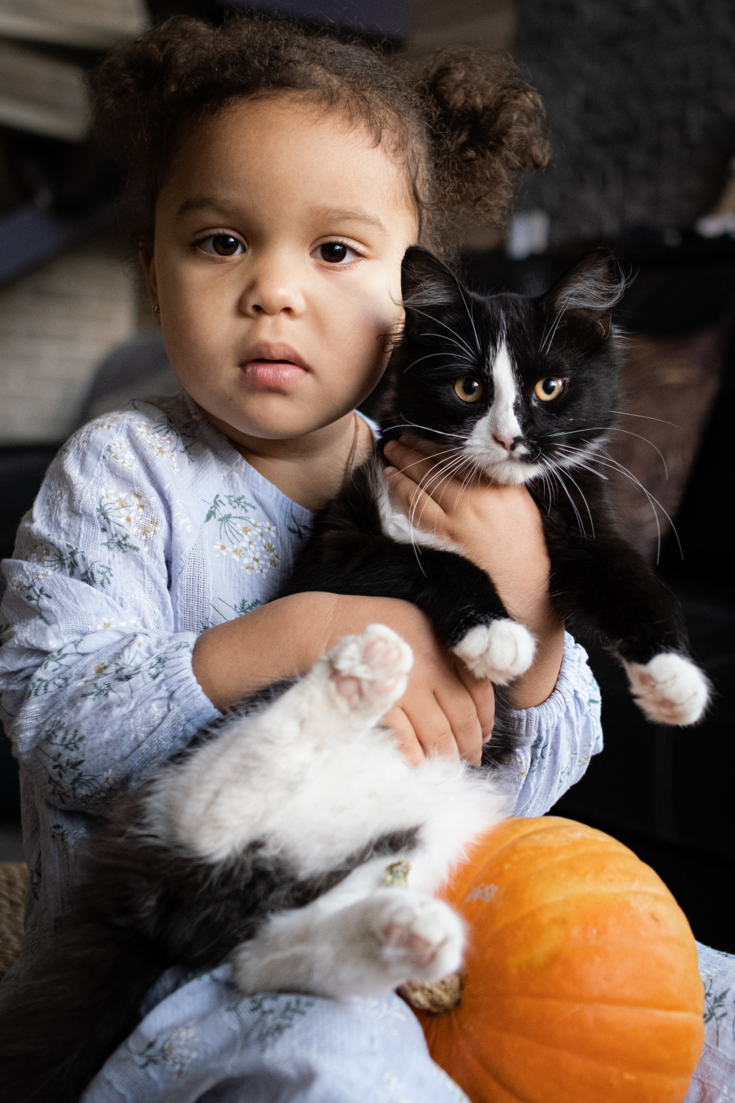 Катя, Рамзес и девочки. Семейный фотограф в Санкт-Петербурге Дарья Косянчук
