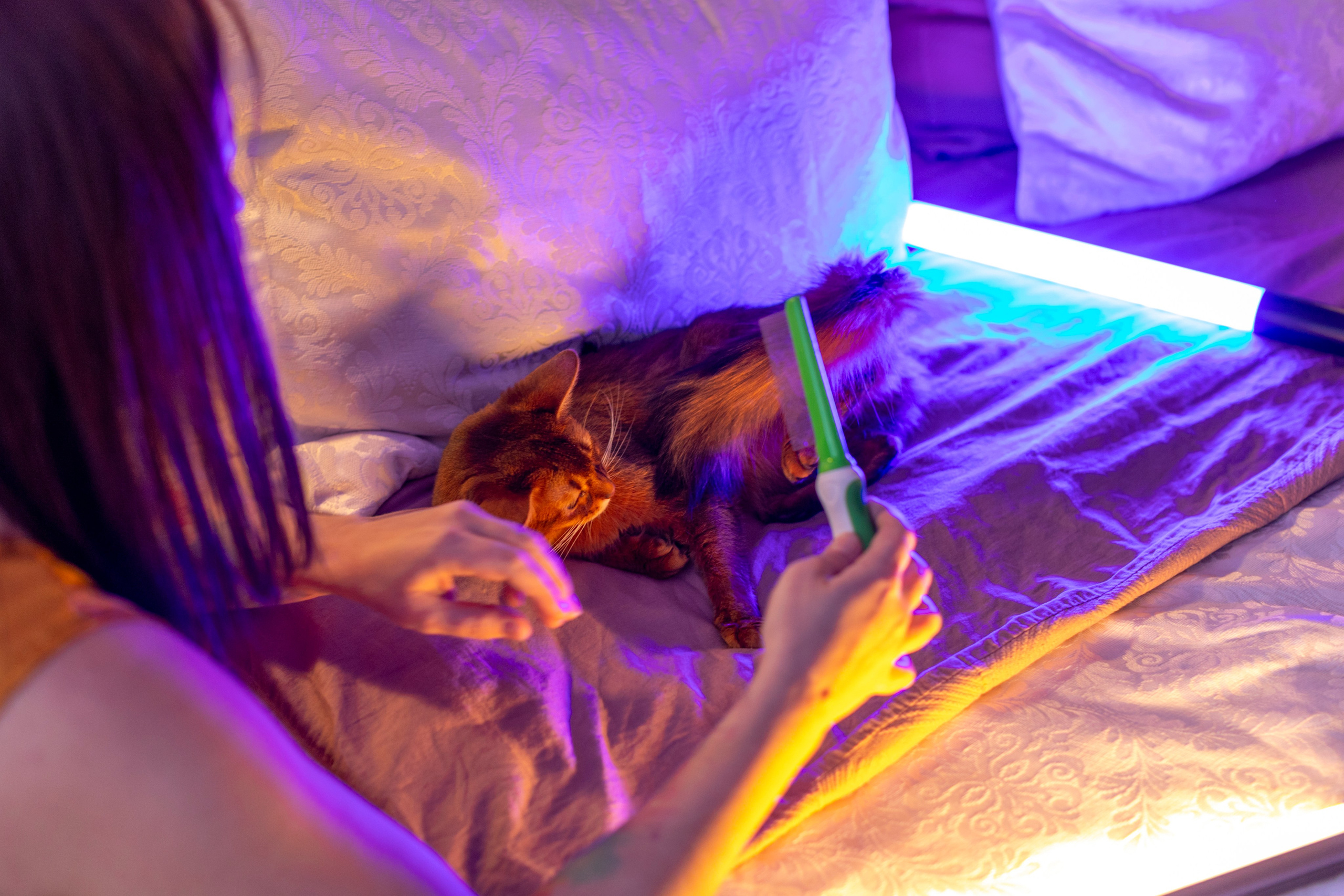 Сомали. Art my Pho