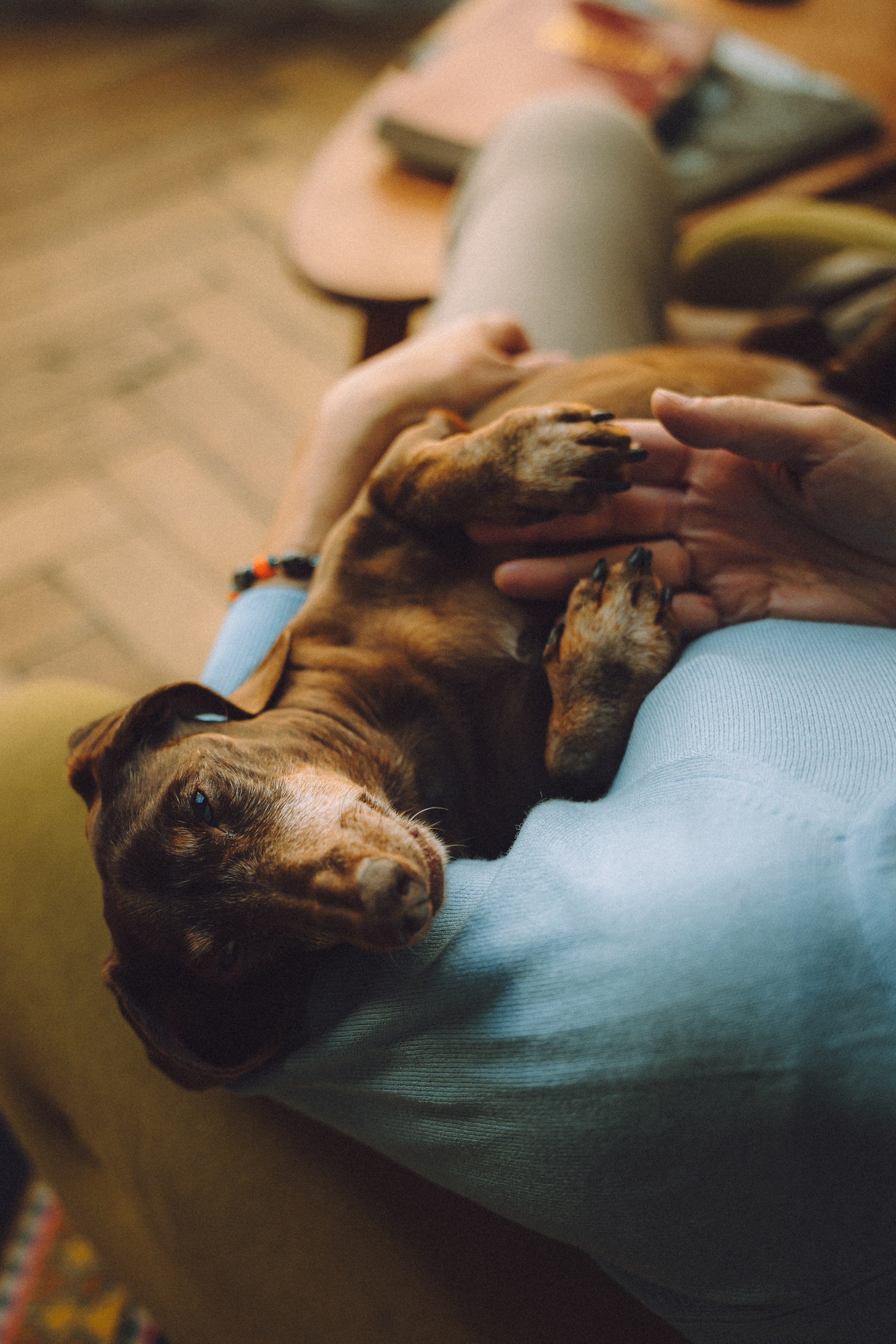 Кокос, Света, Динара и Вилли