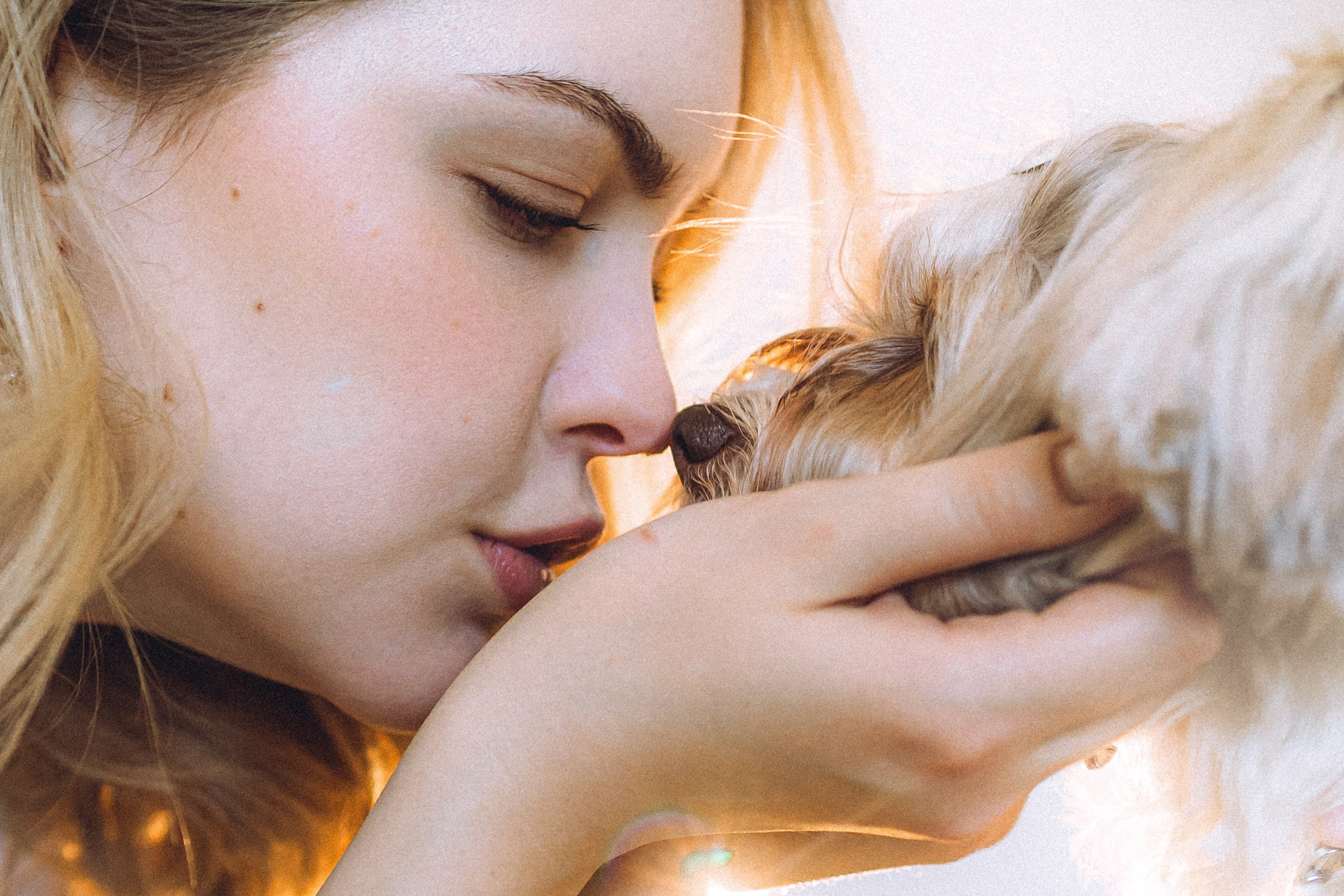 День Рождения Шу