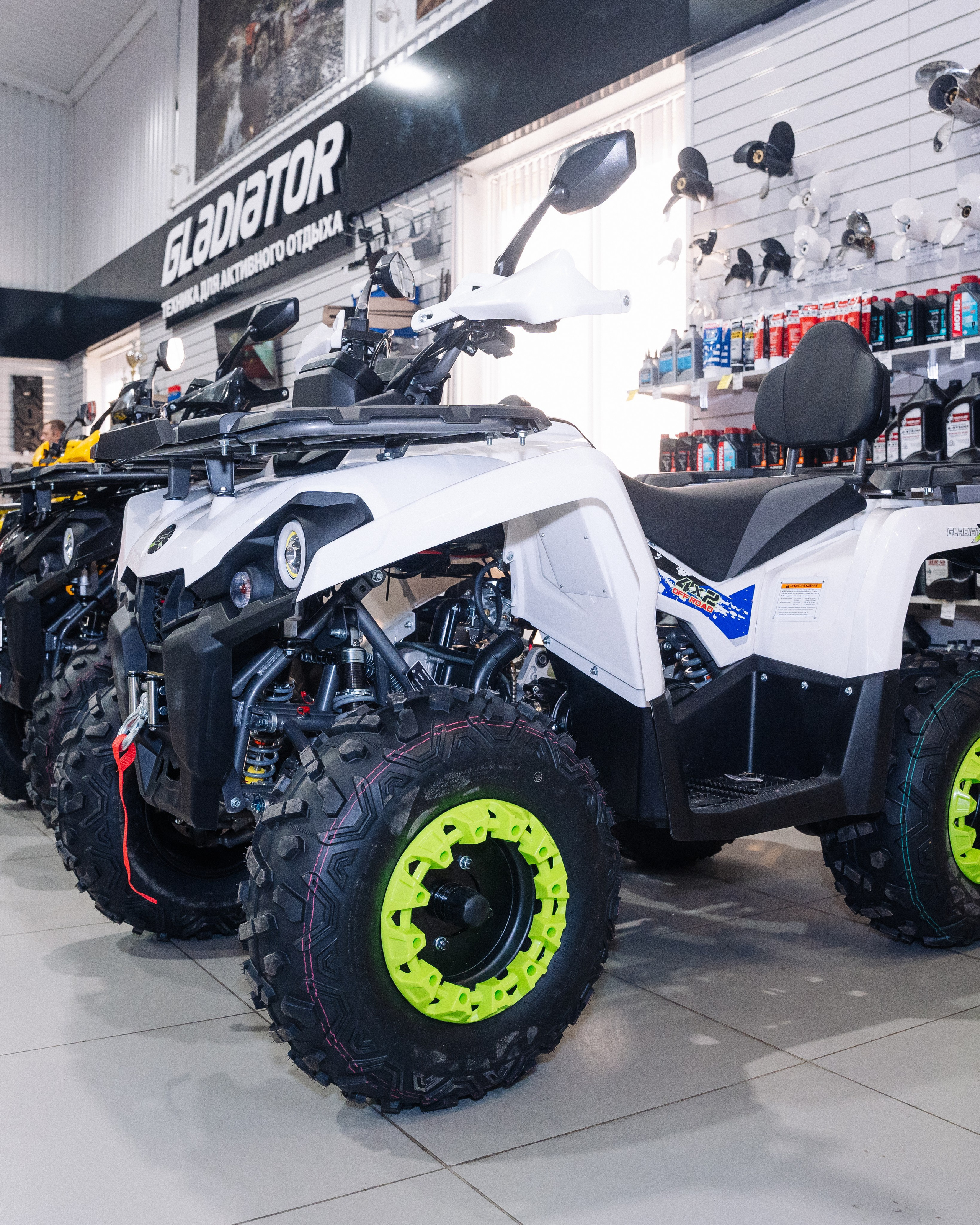 GLADIATOR. Фотограф Хабаровск