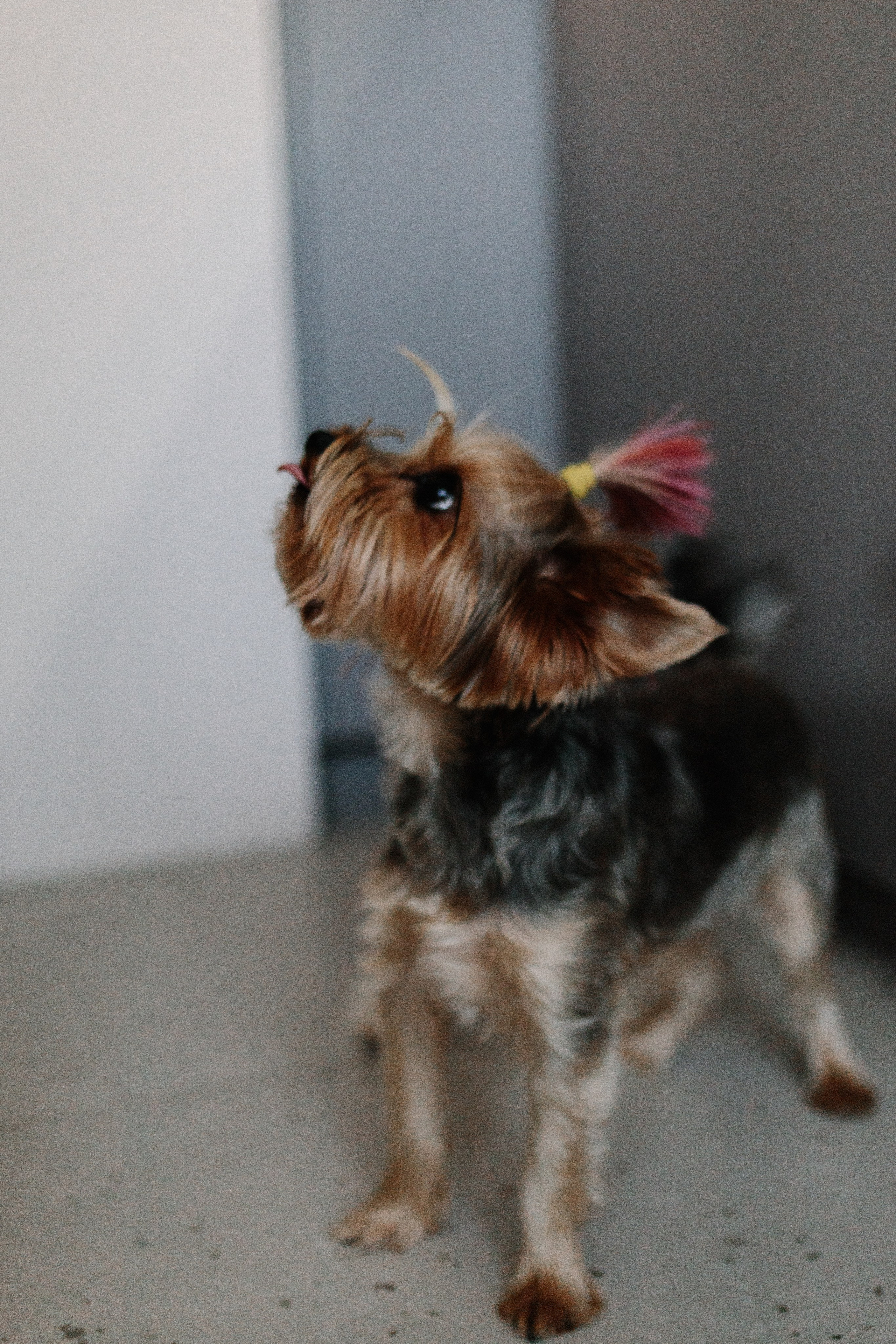 2. Семейный фотограф в Москве Жукова Анна