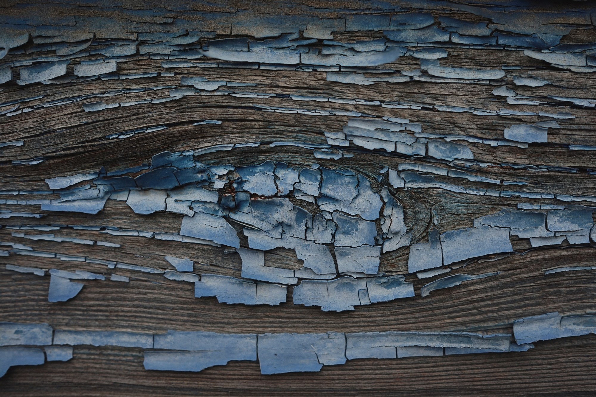 Sea, kind of. Daria Kryl