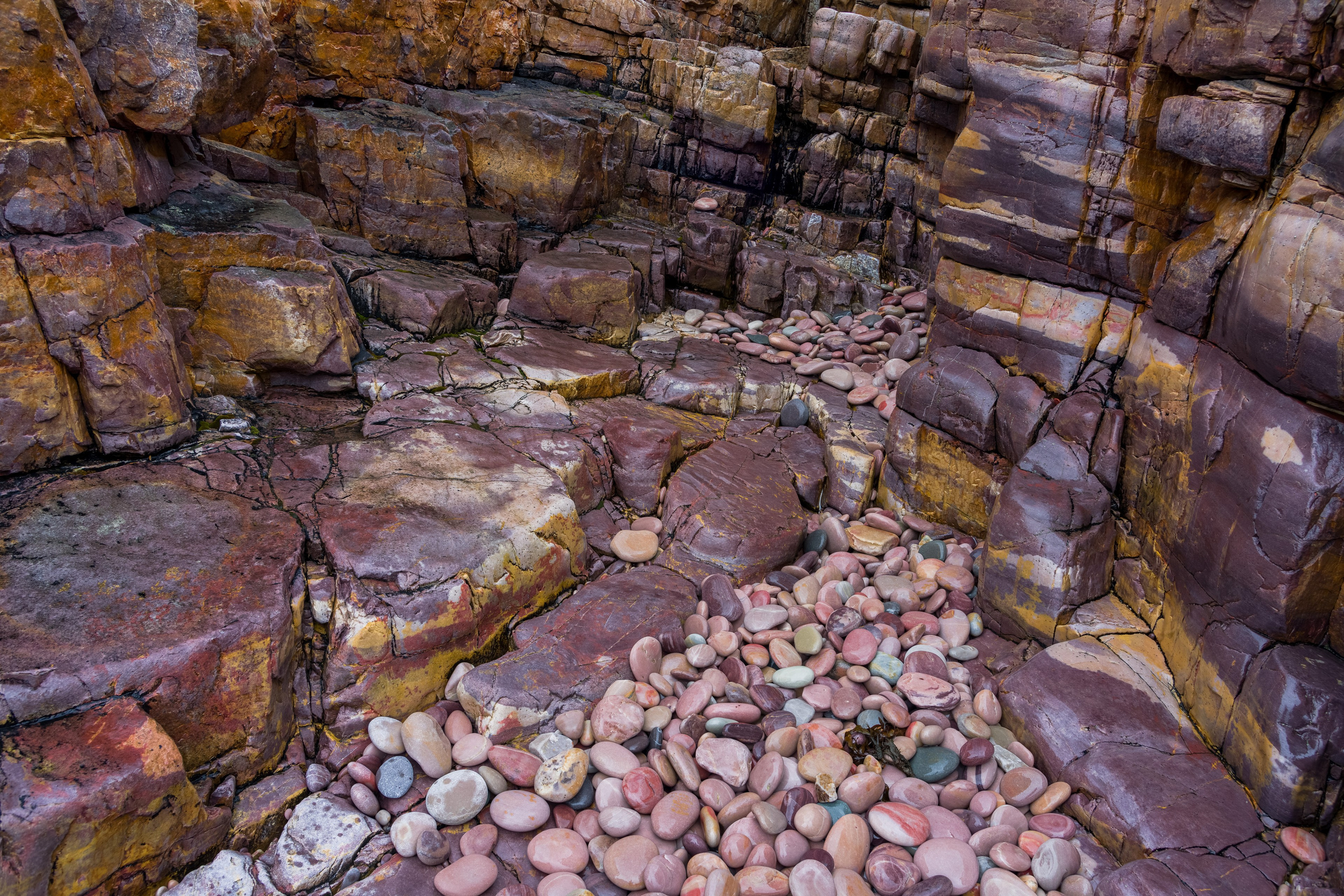 Варангер. Северные Ночи