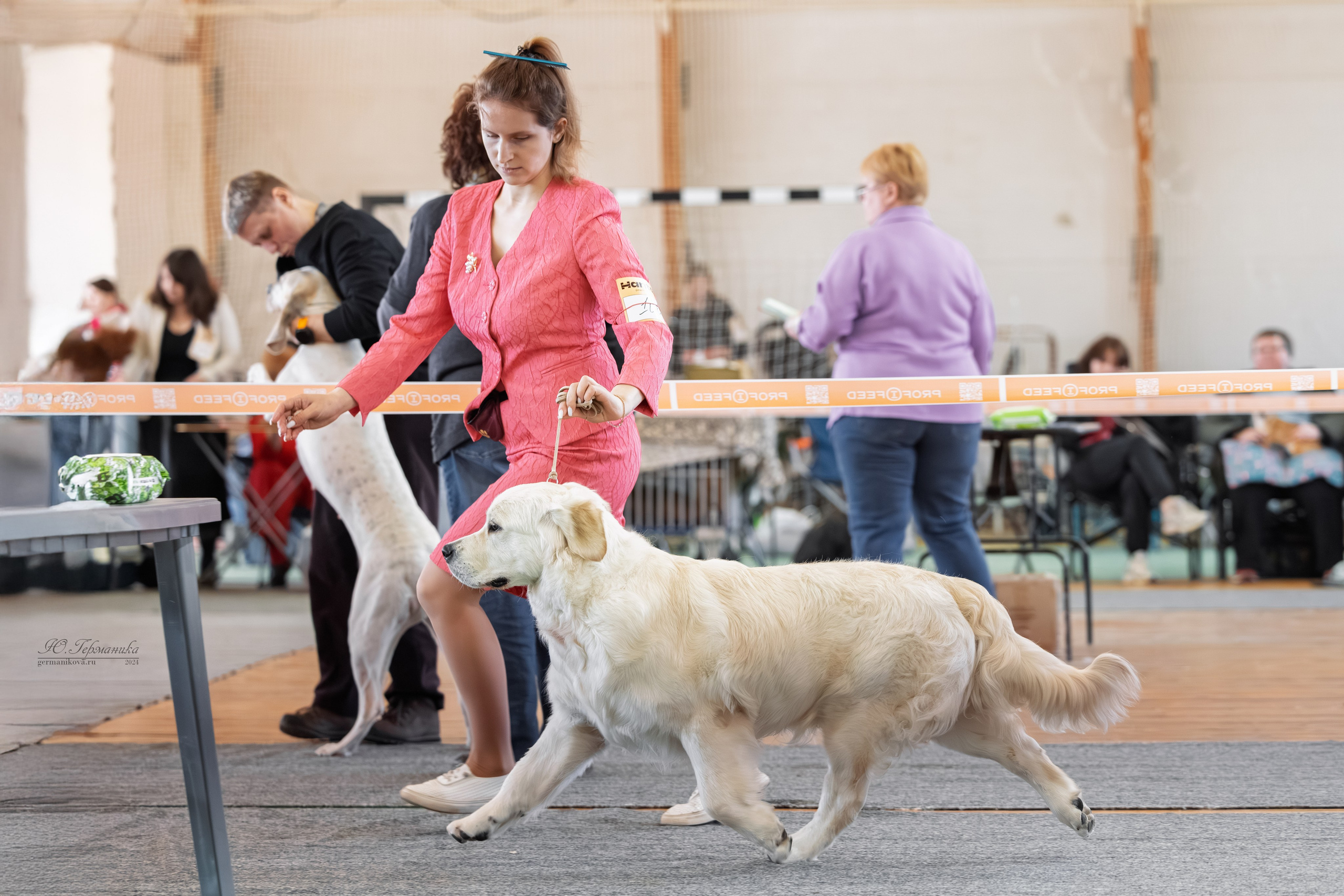 Тверь 23.03.2025. Фотограф-анималист Юлия Германика
