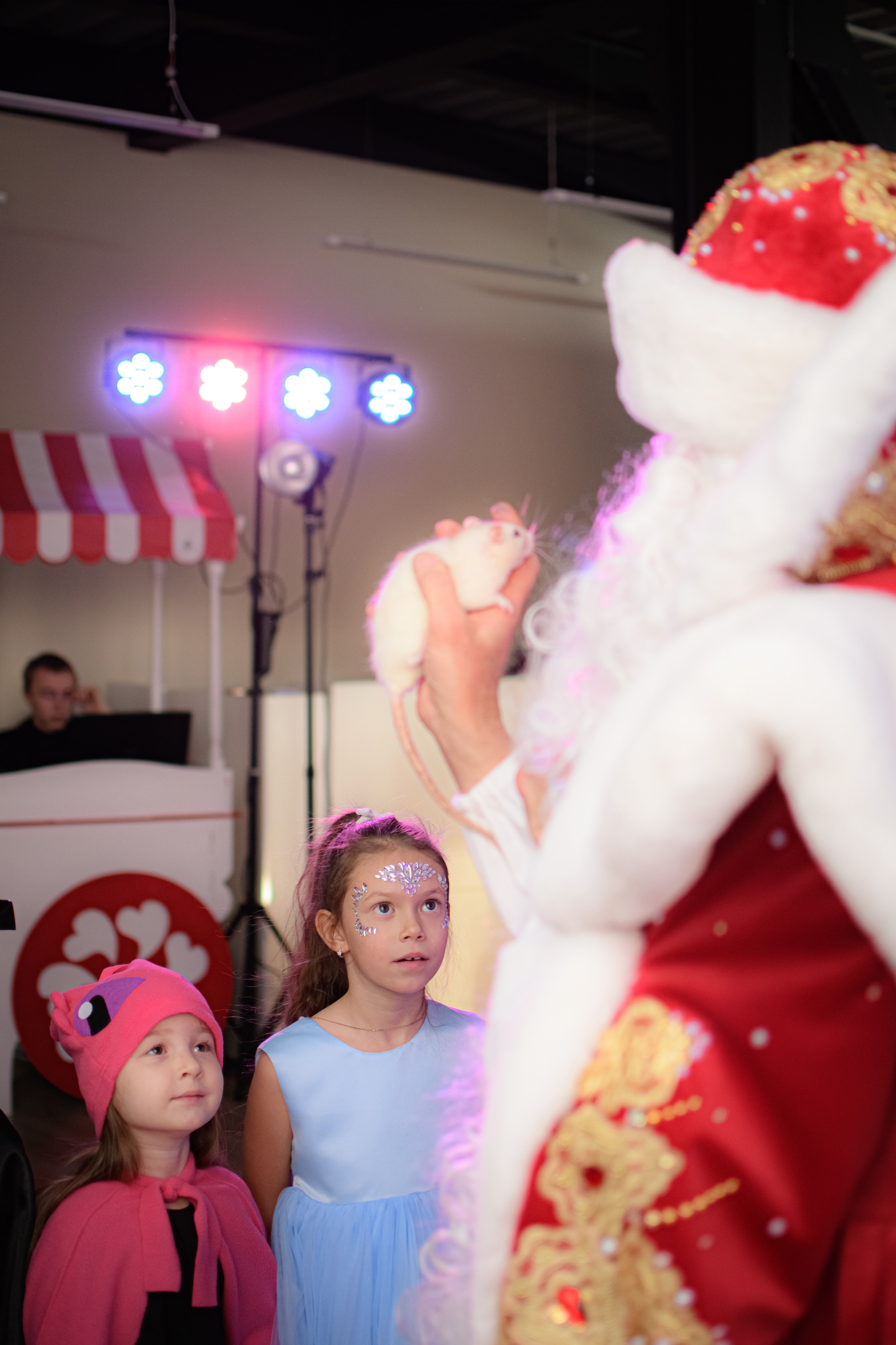 HAPPY NEW YEAR. Photokarish