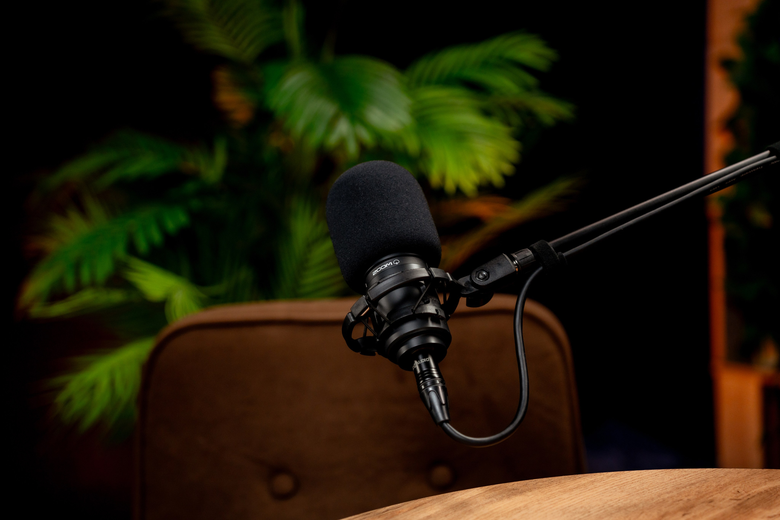 BLACK. Подкасты и прямые эфиры Сочи