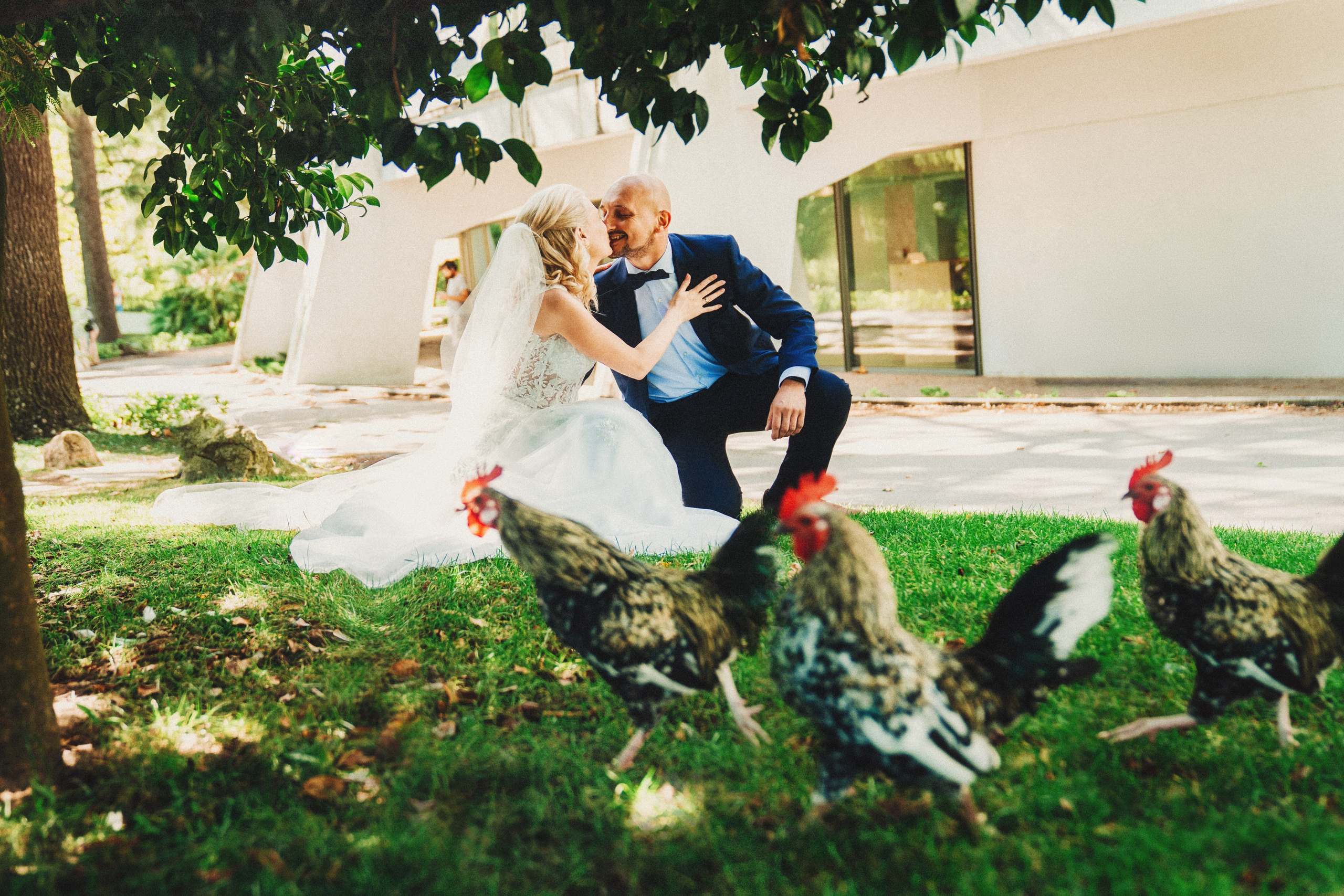 Wedding. Фотограф в Португалии Ирина Павленко