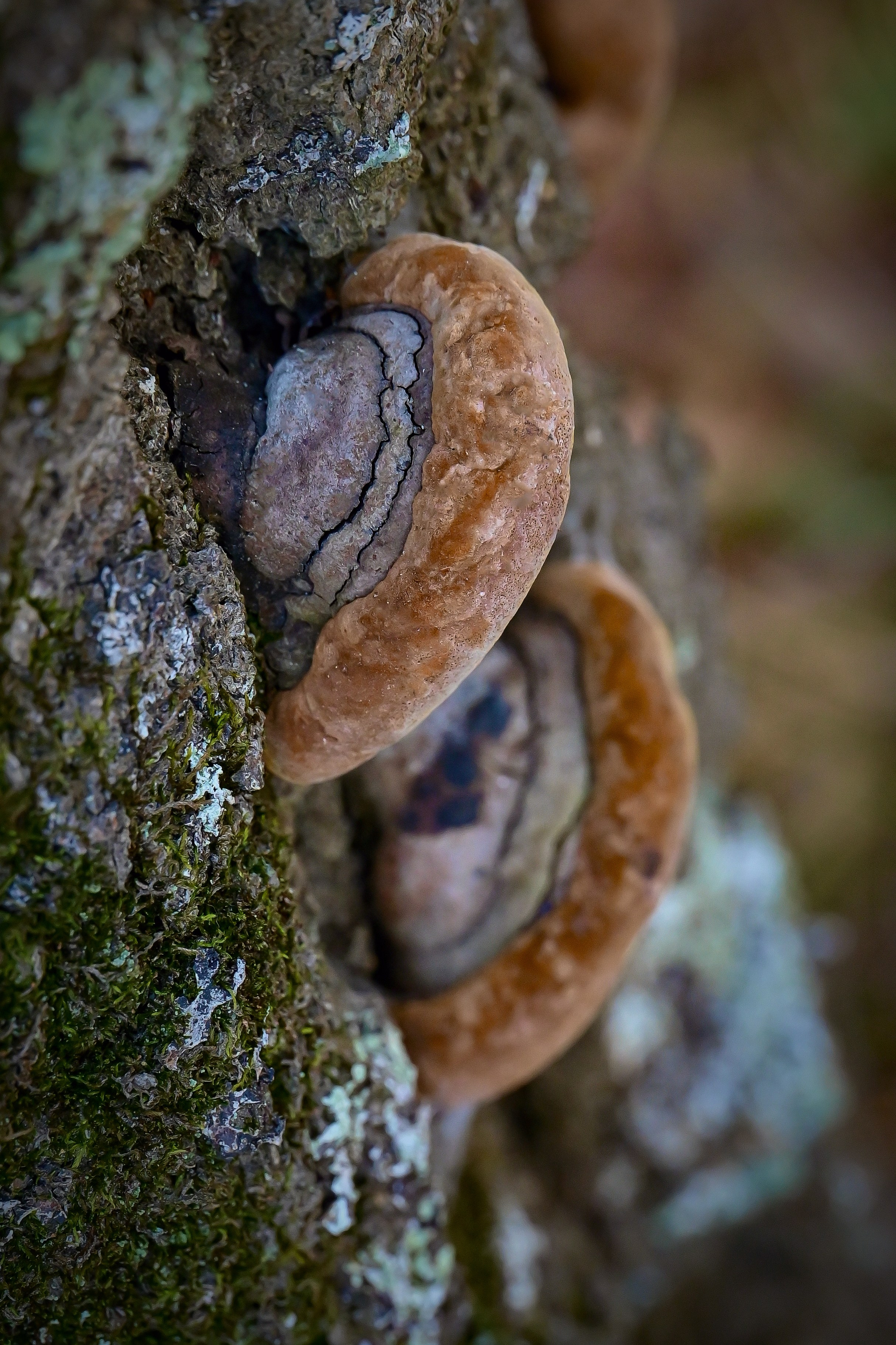 Осень. FotoGraf