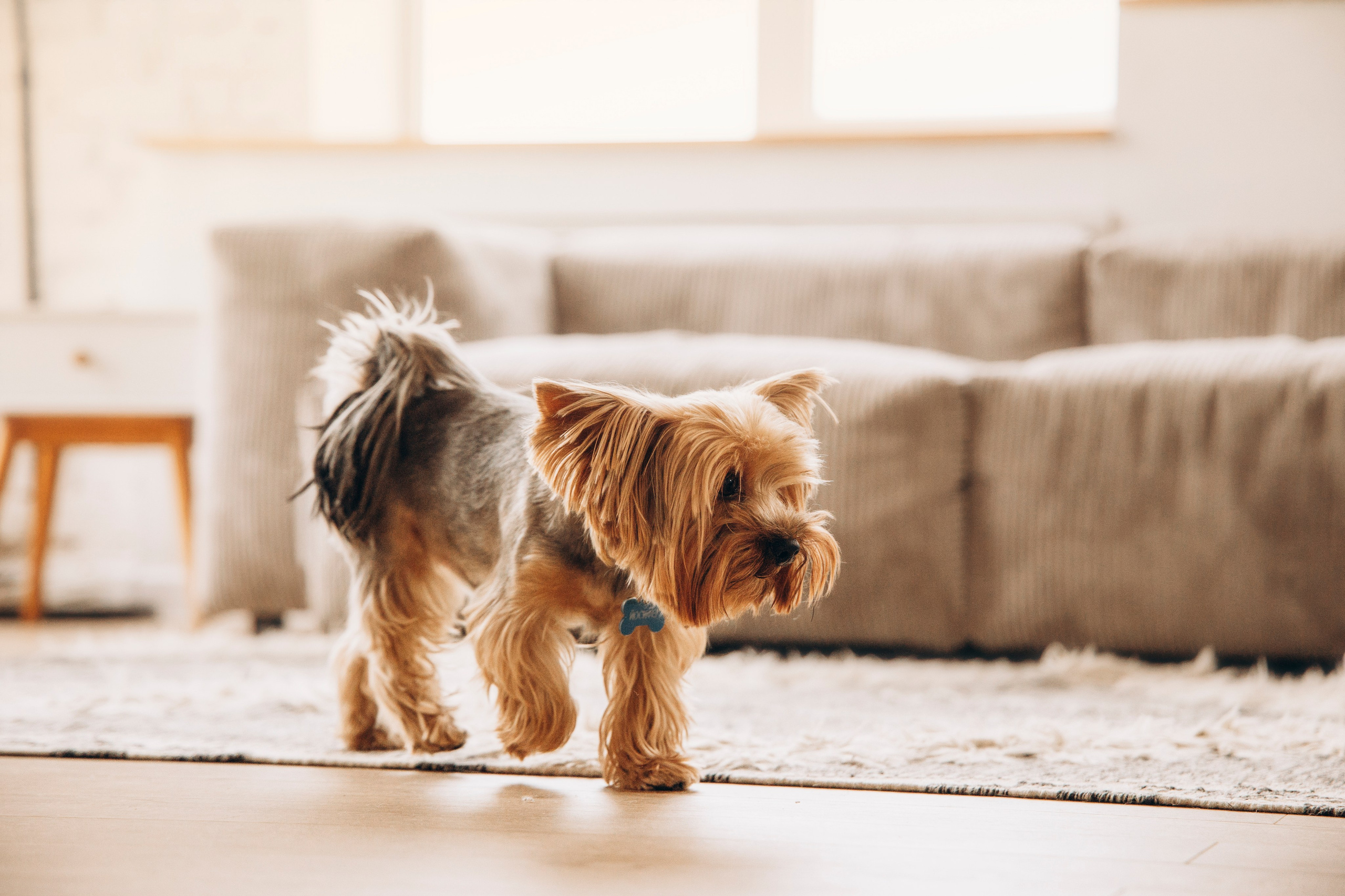 Аня и ее семья. Фотограф — Анималист | Санкт-Петербург