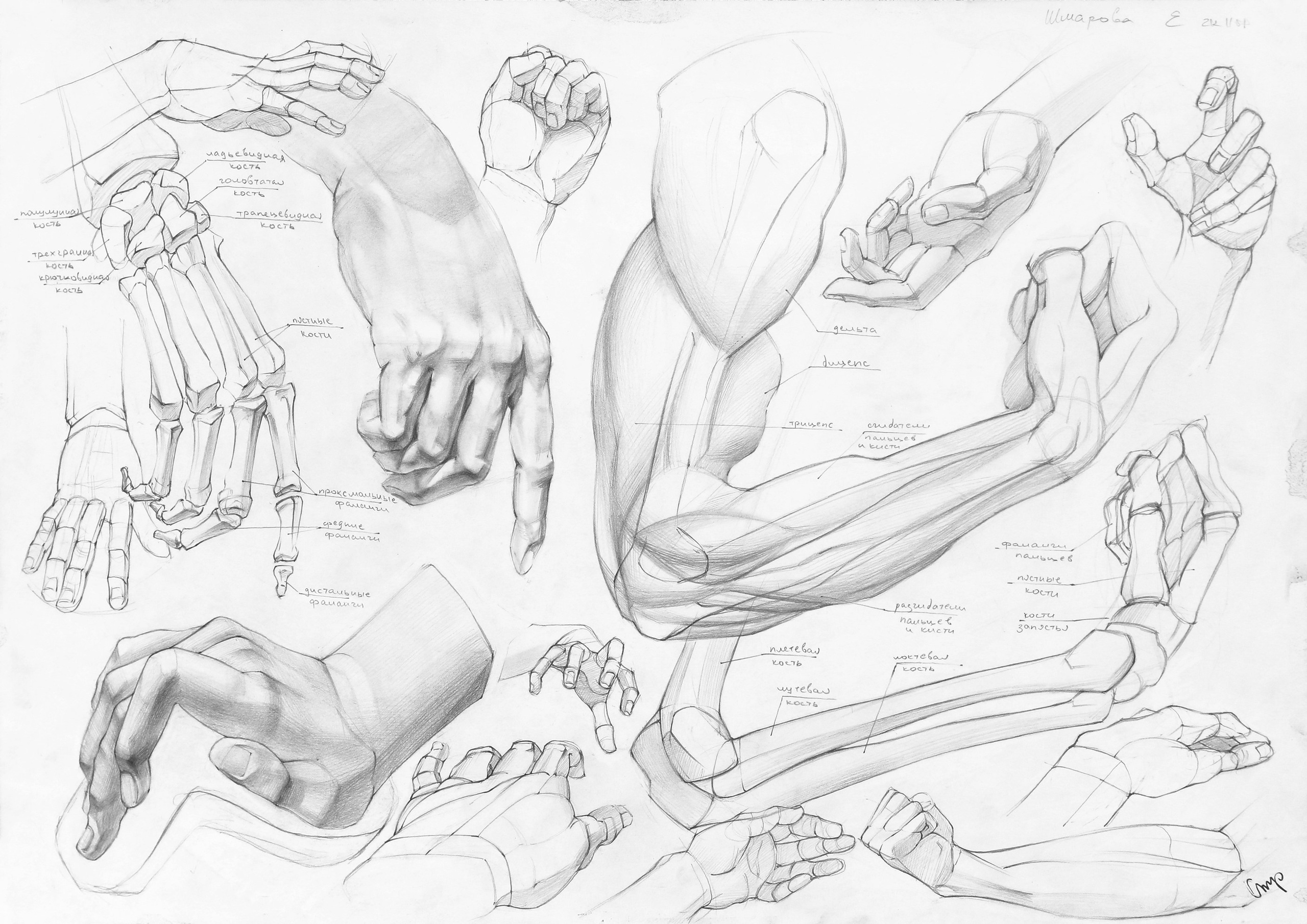 Работы студентов. Главная