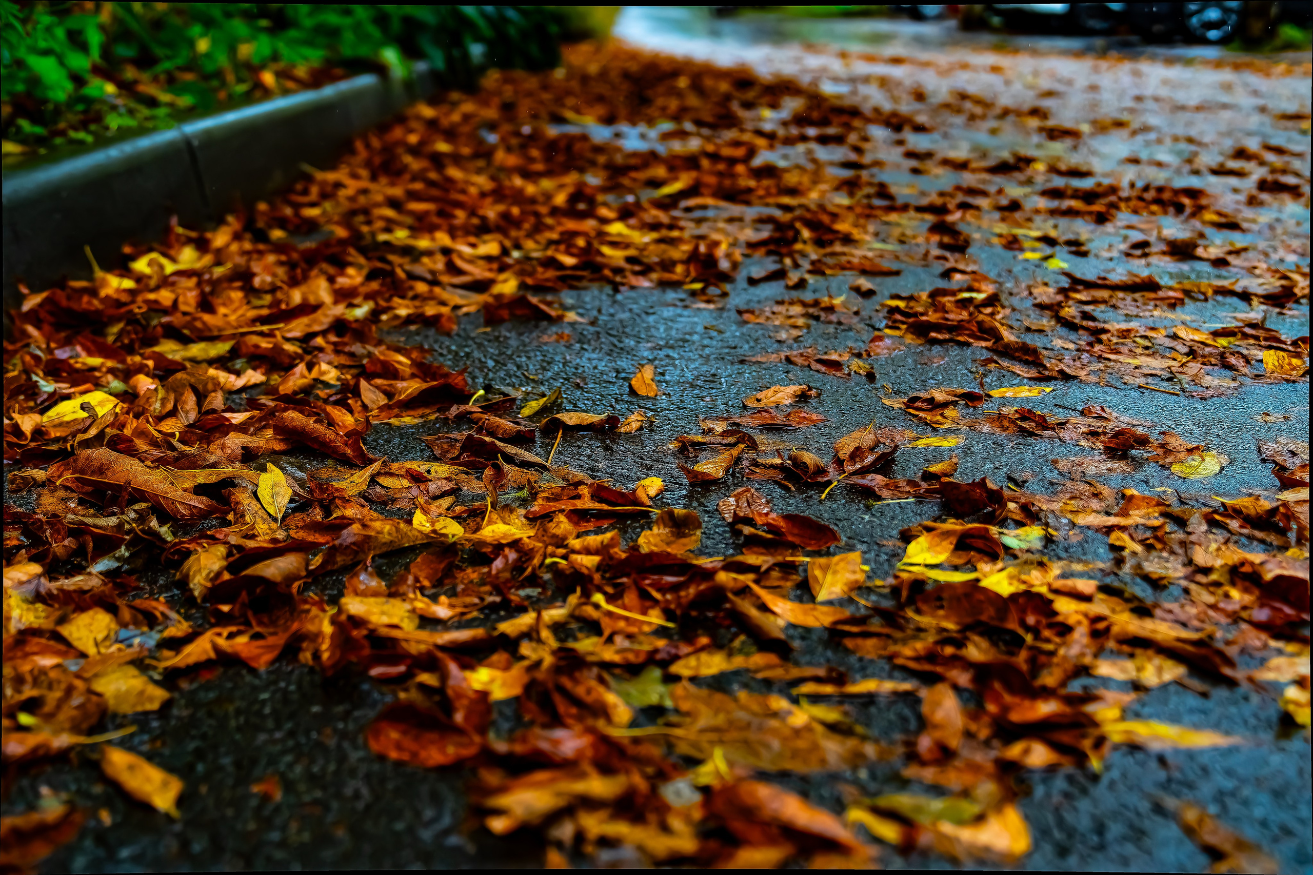 Контакты. Фотограф во Владивостоке